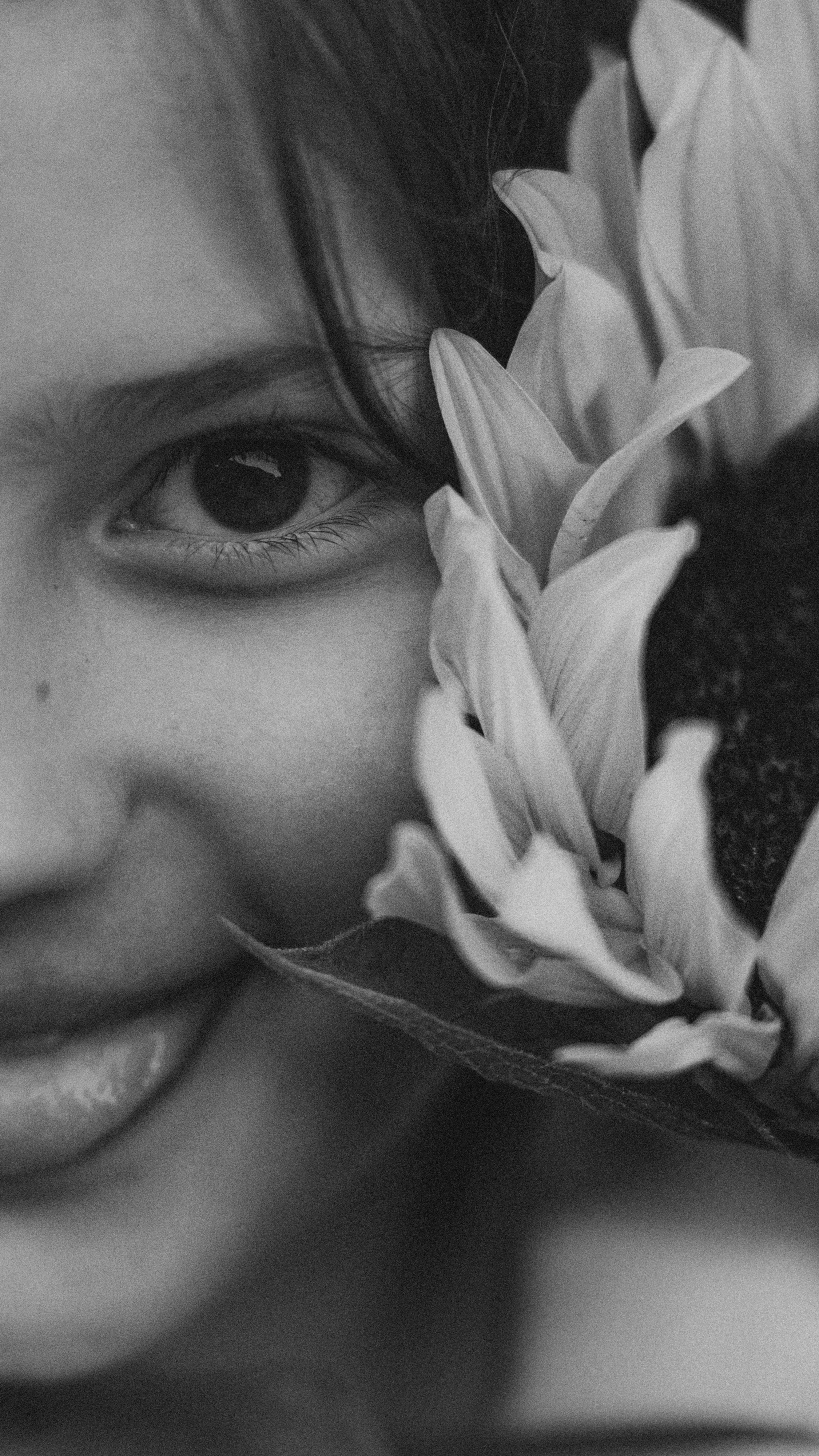 Елена, Валера, Маша и Иви. Фотограф анималист в Москве и Санкт-Петербурге Свиридова Анна