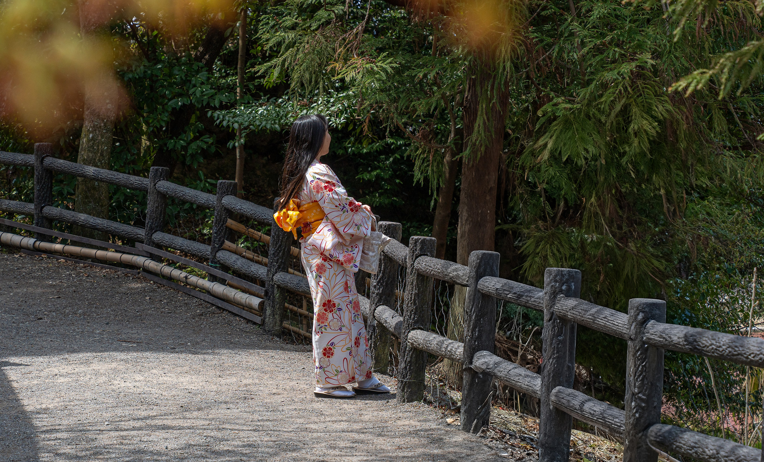 Япония, сакура. Творческие сьемки