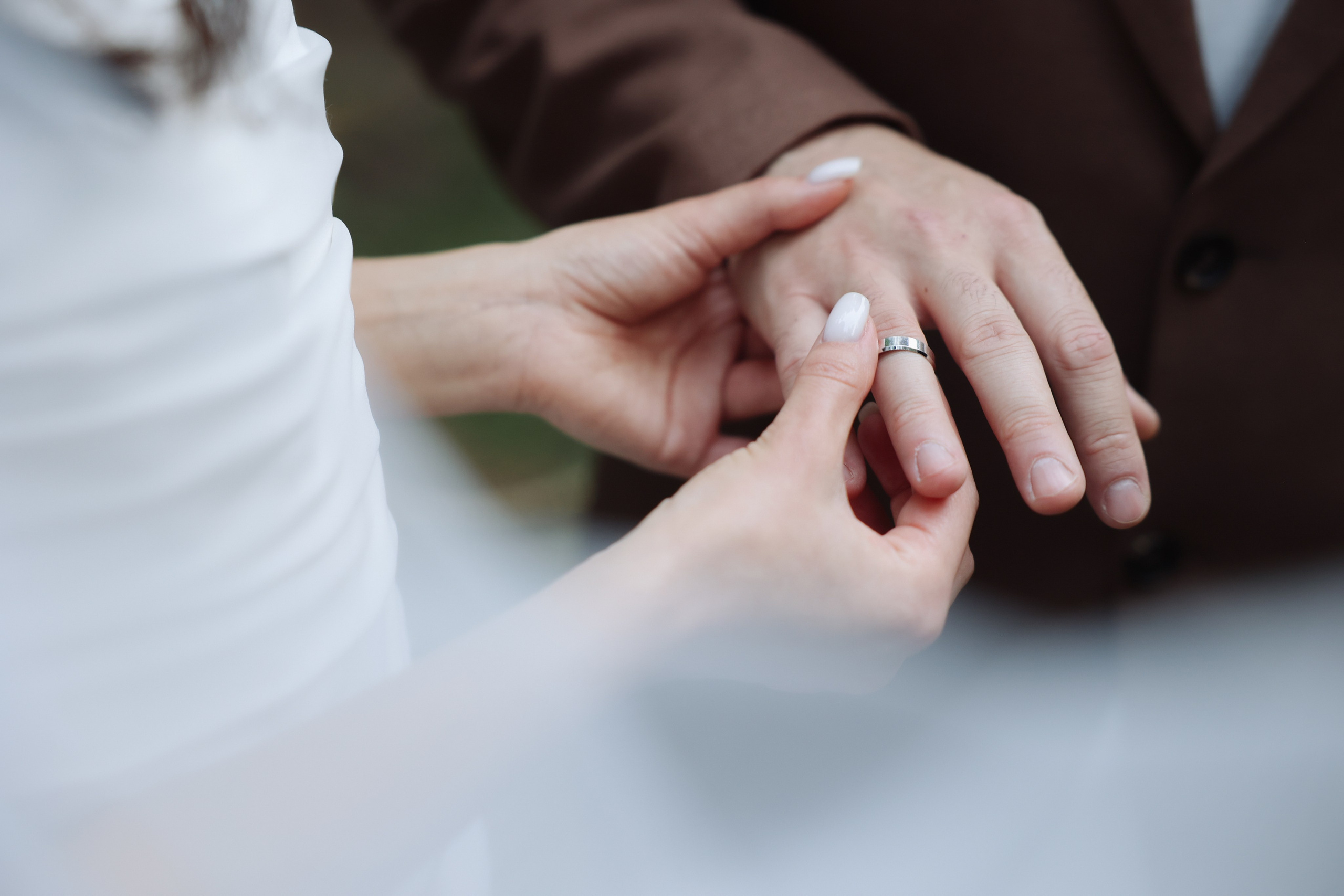 Lesnoi-bereg. Главная