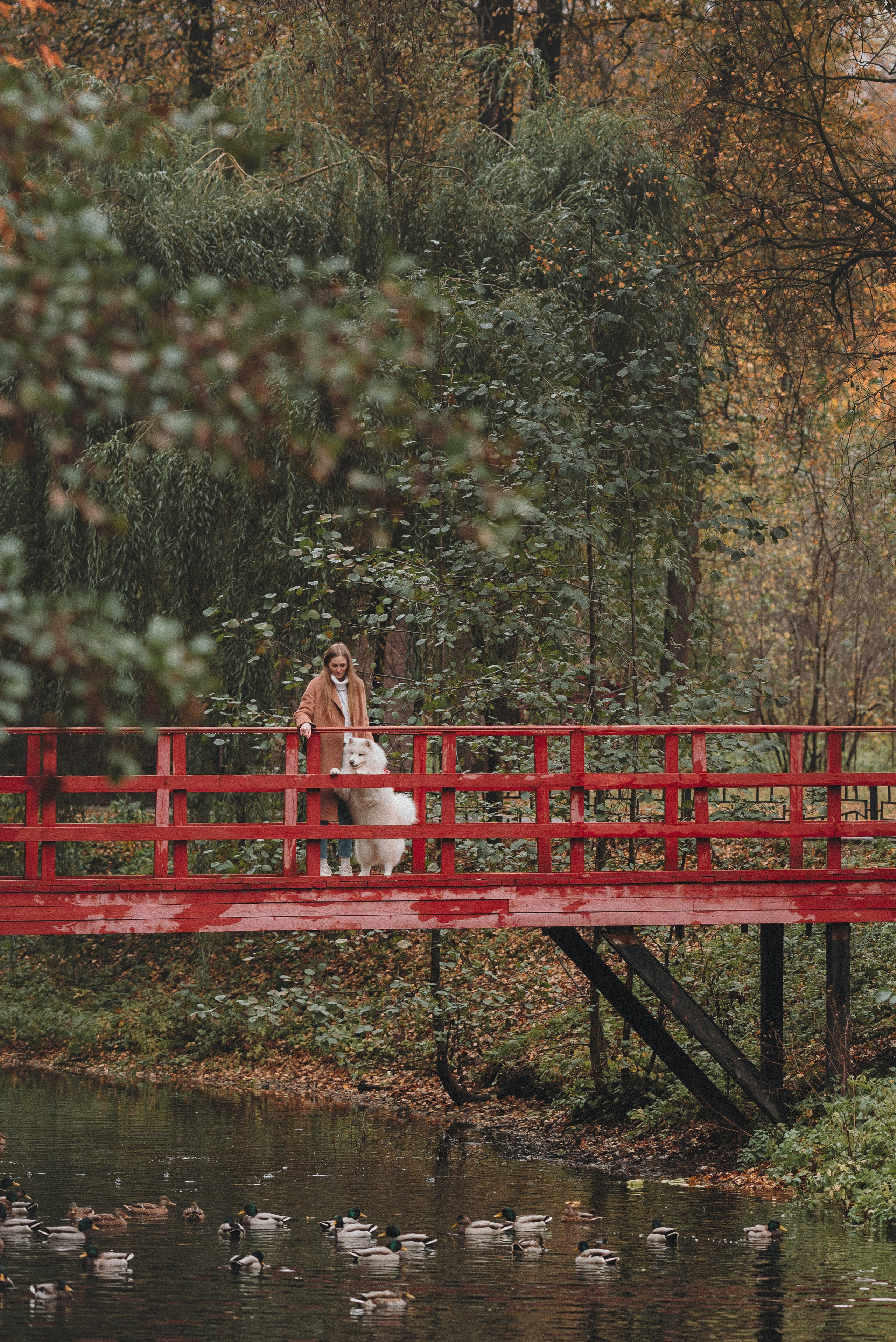 Valya & Varya. Natalia Finch Photography — Family, Kids & Pet Photographer in Chicago, IL