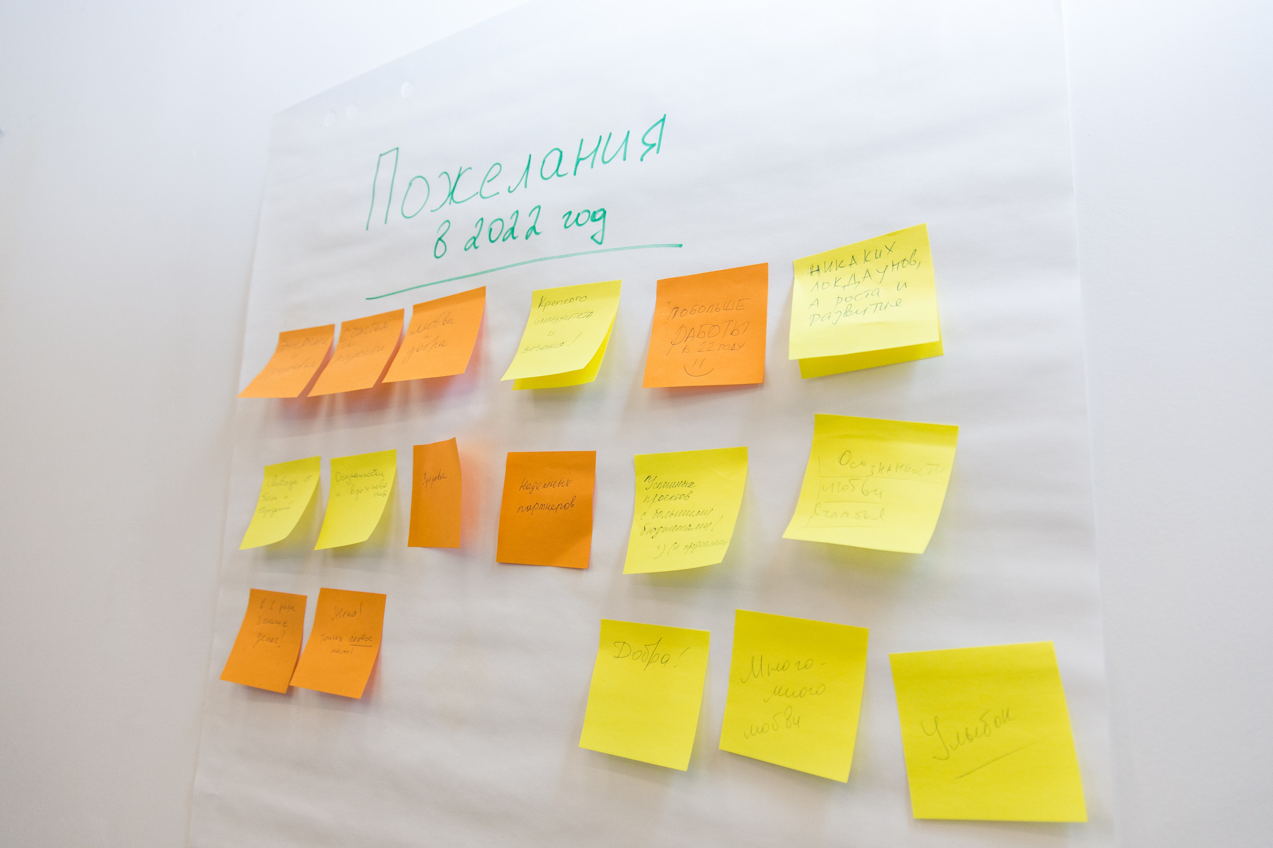 Встреча сообщества. Виктория Еремина — фотограф и видеограф в Москве