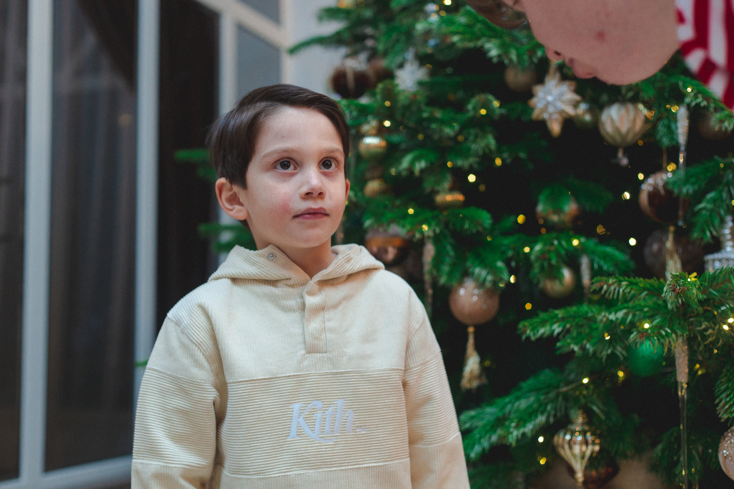 День рождения Мишель. Виктория Еремина — фотограф и видеограф в Москве