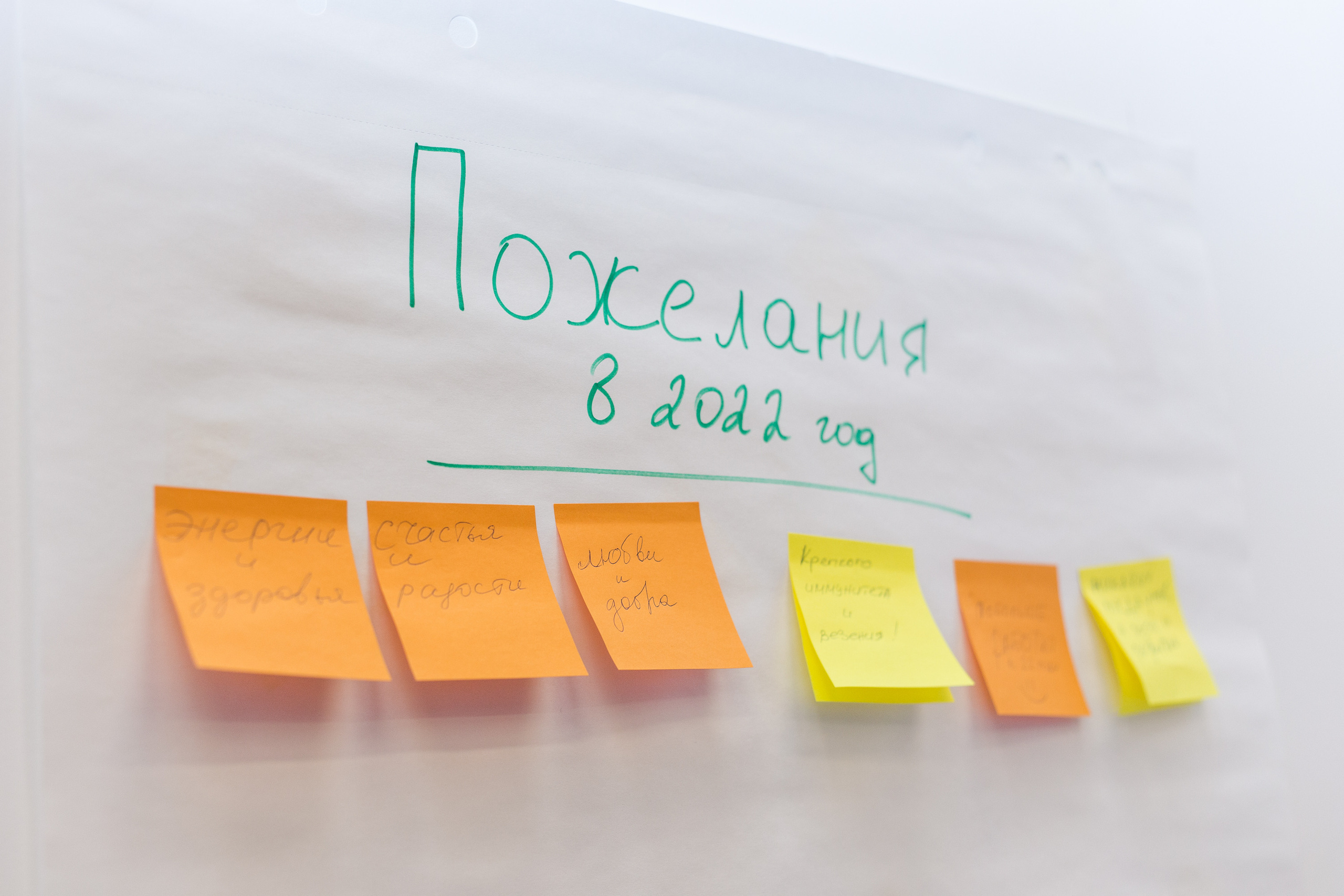 Встреча сообщества. Виктория Еремина — фотограф и видеограф в Москве