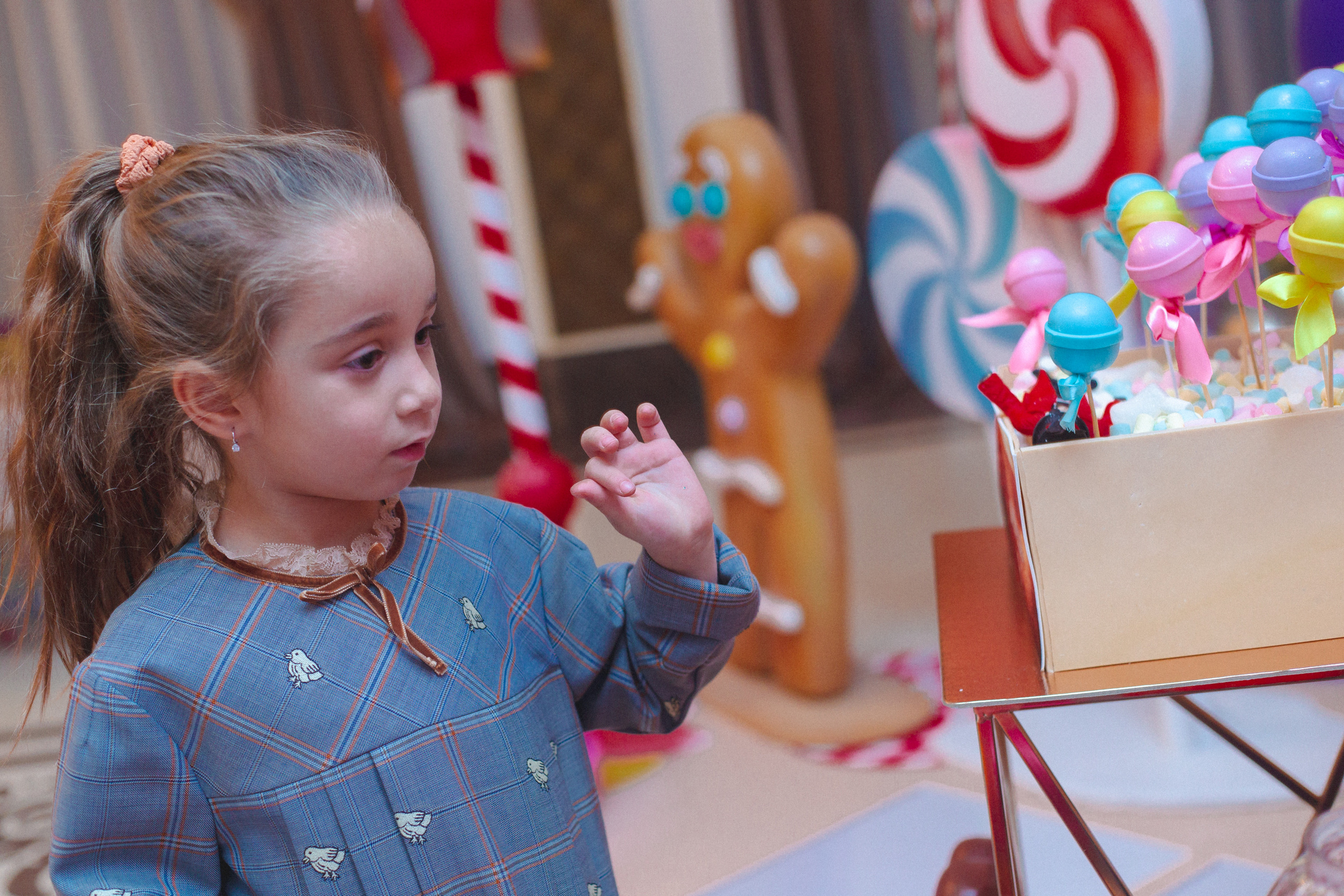 День рождения Мишель. Виктория Еремина — фотограф и видеограф в Москве