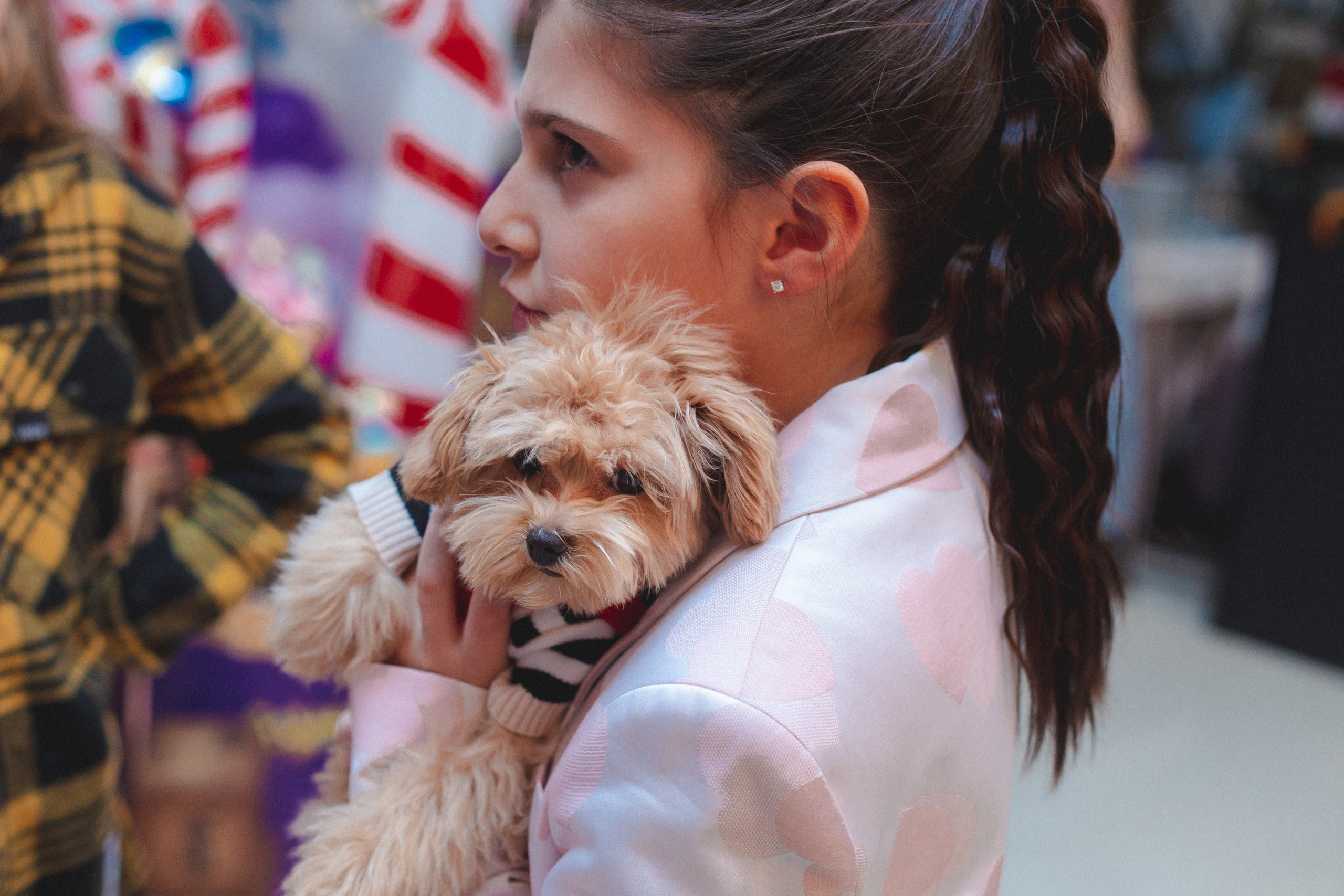 День рождения Мишель. Виктория Еремина — фотограф и видеограф в Москве