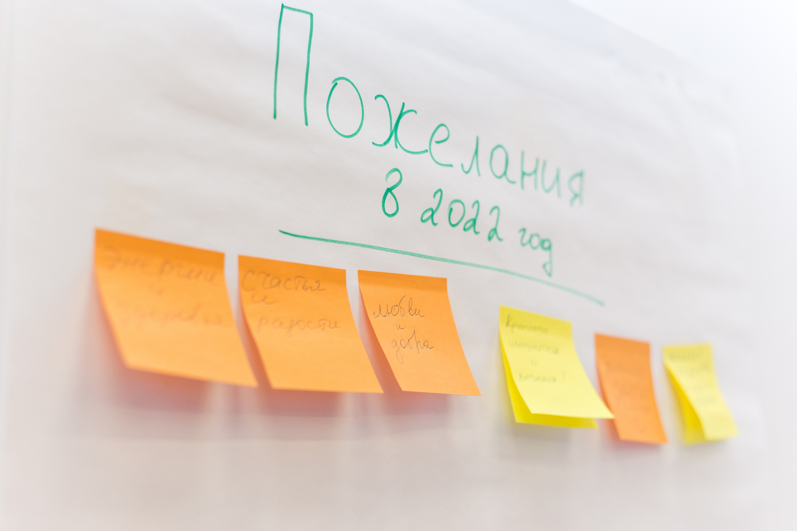 Встреча сообщества. Виктория Еремина — фотограф и видеограф в Москве