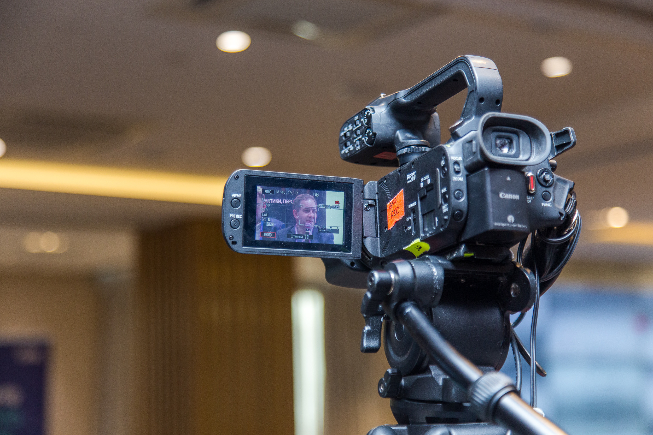 Качество данных. Виктория Еремина — фотограф и видеограф в Москве