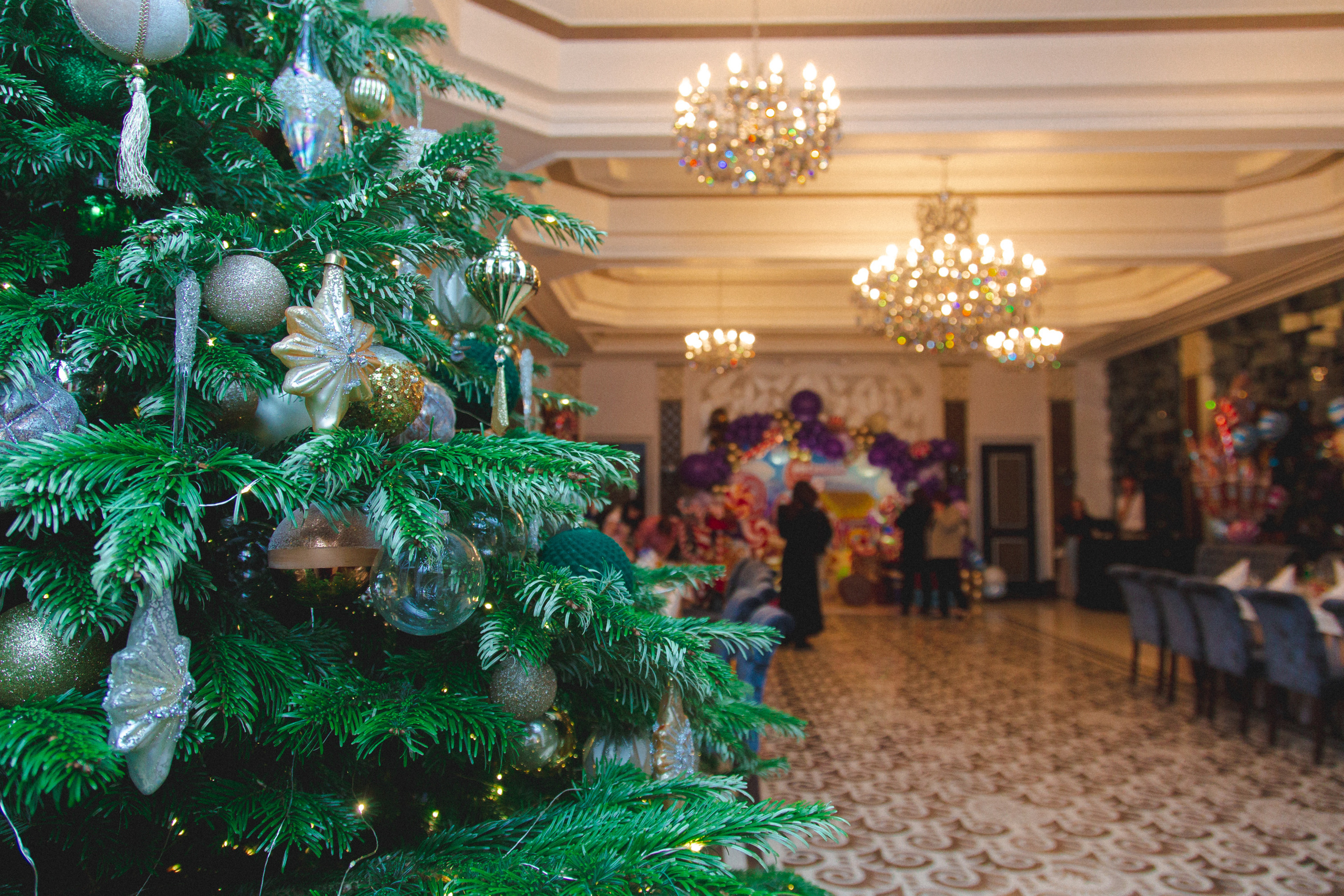 День рождения Мишель. Виктория Еремина — фотограф и видеограф в Москве