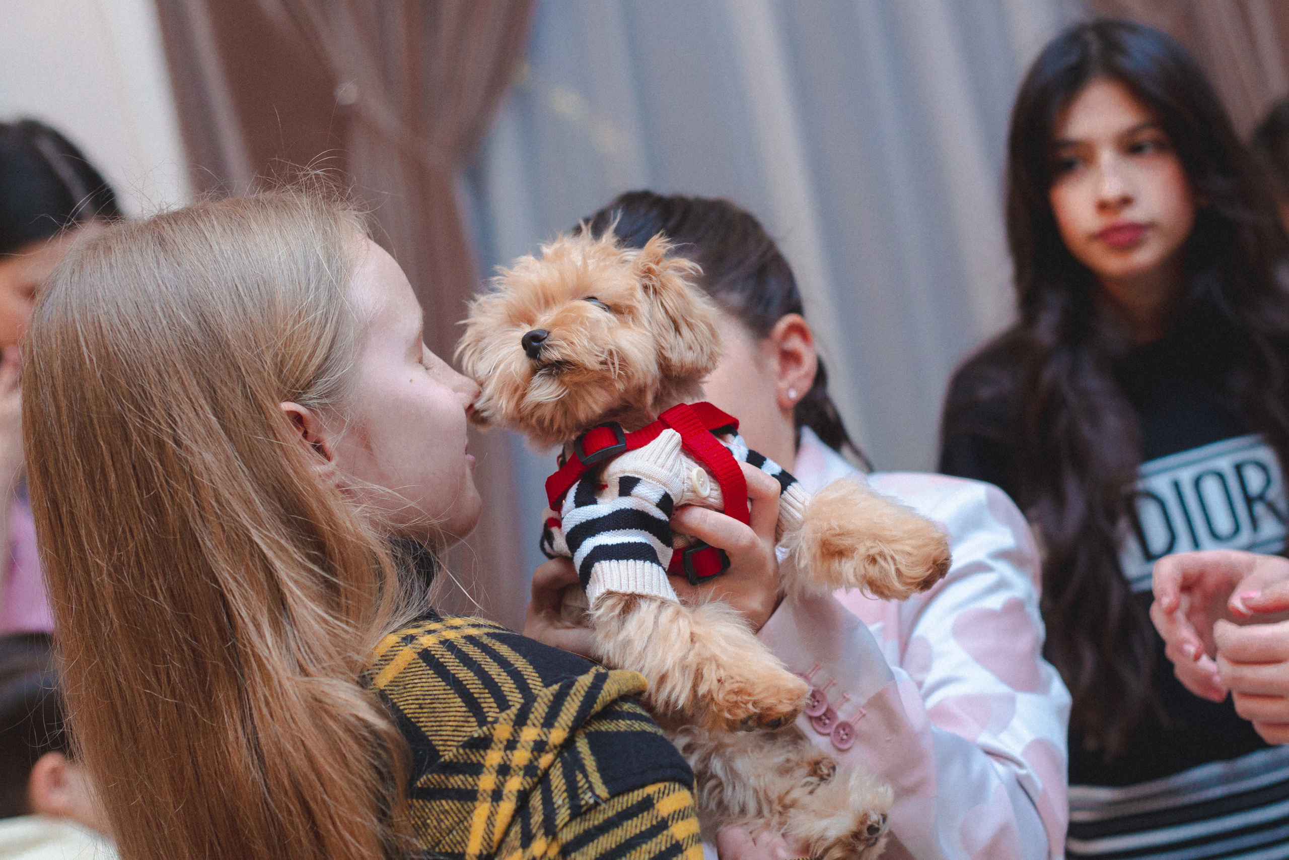 День рождения Мишель. Виктория Еремина — фотограф и видеограф в Москве