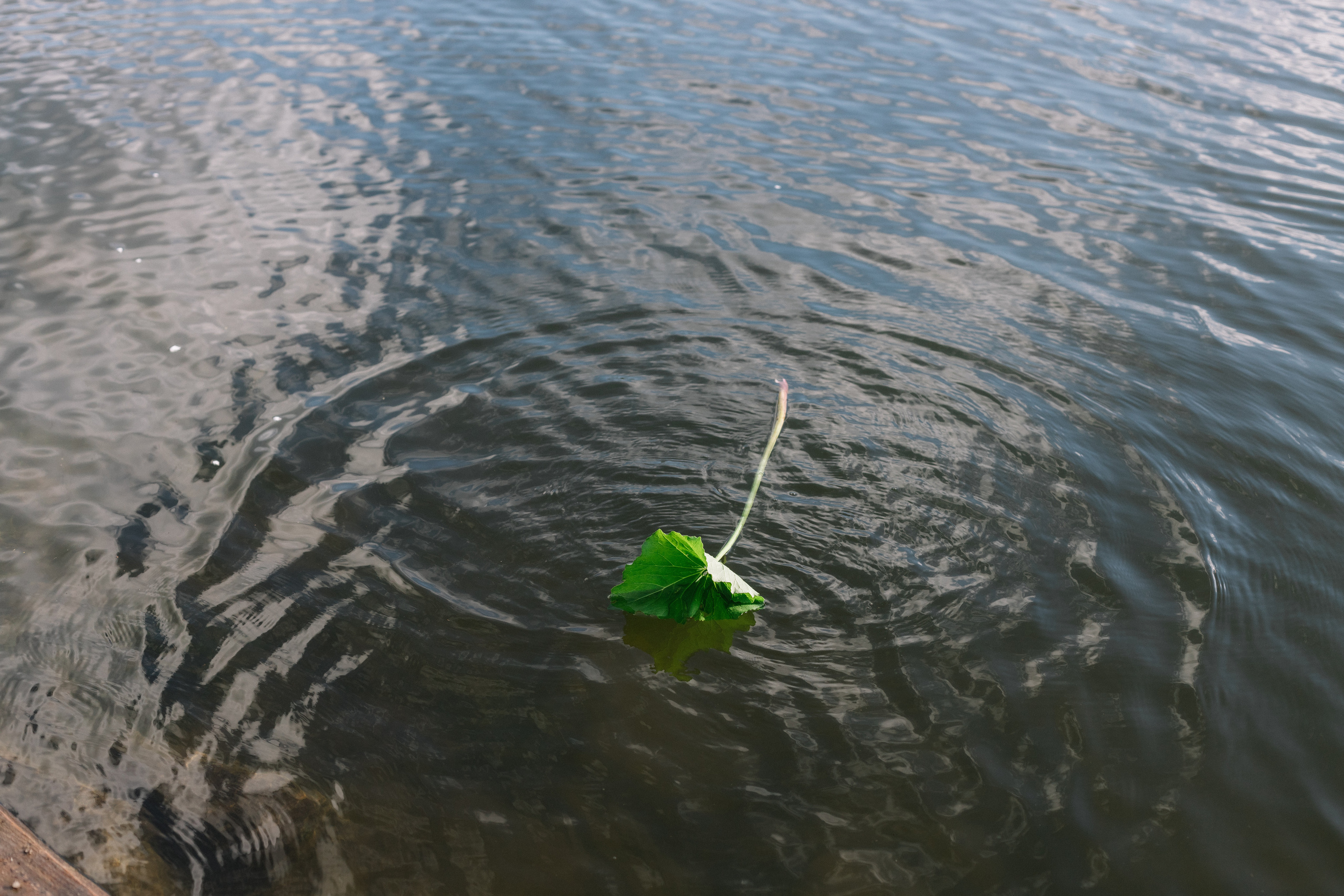 У пруда. Фотограф Регина Даниловна Усть — Катав