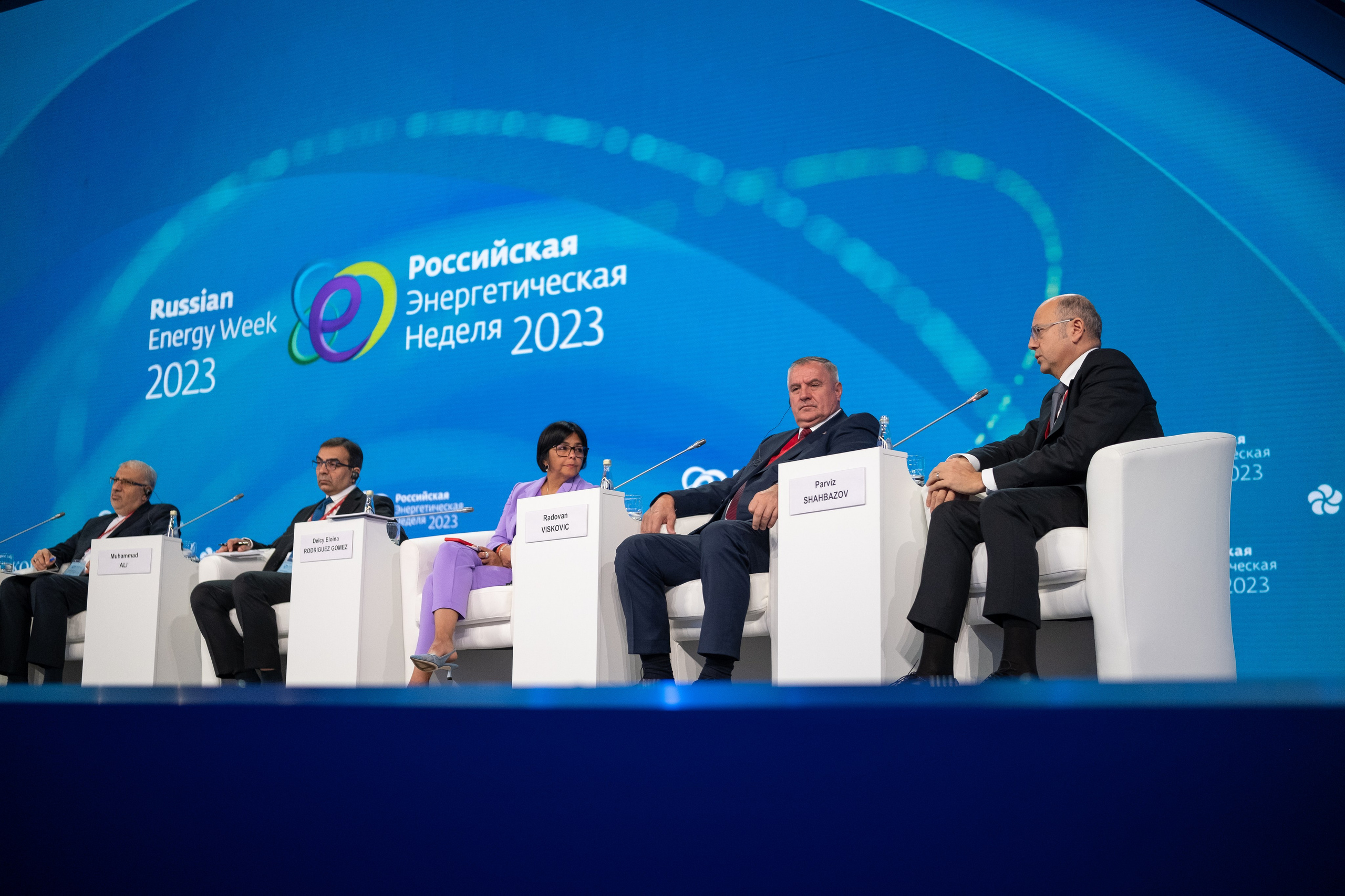 Деловая программа. Дмитрий Шишкин