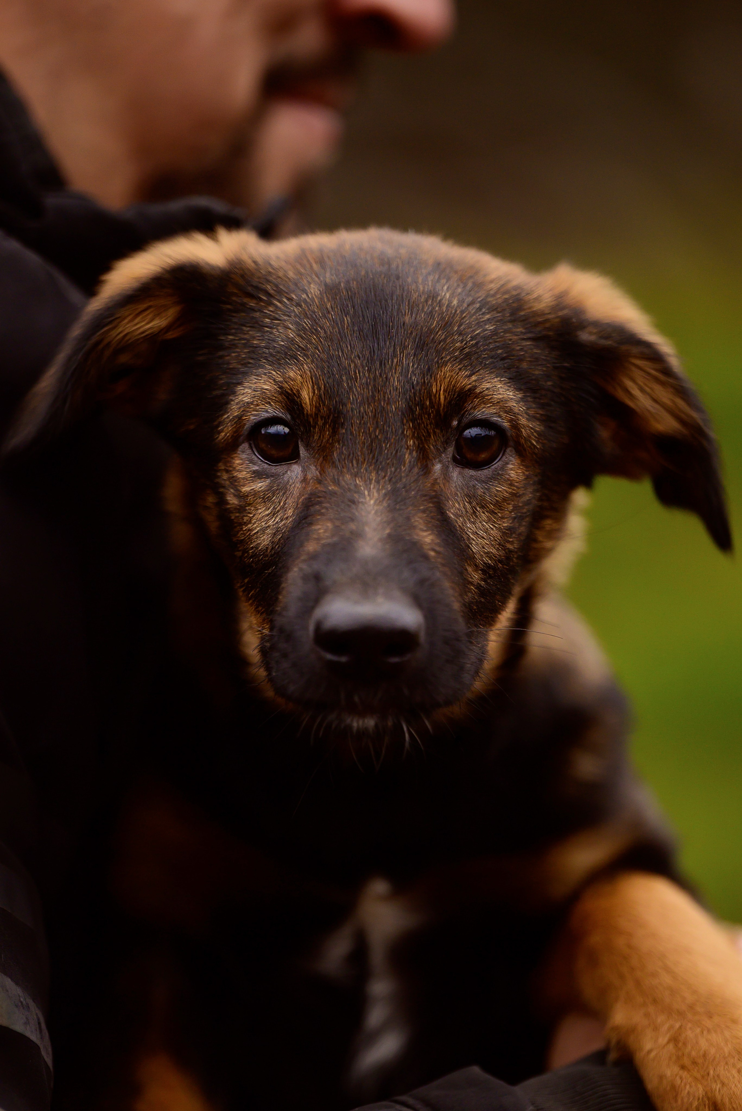 Круассанчики. Мила Астахова