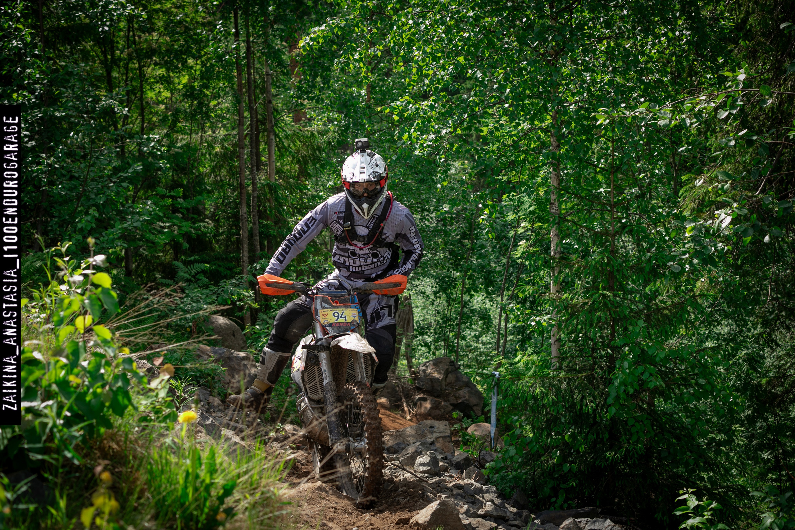 Шустрая Белка 2024. Фотограф Заикина Анастасия