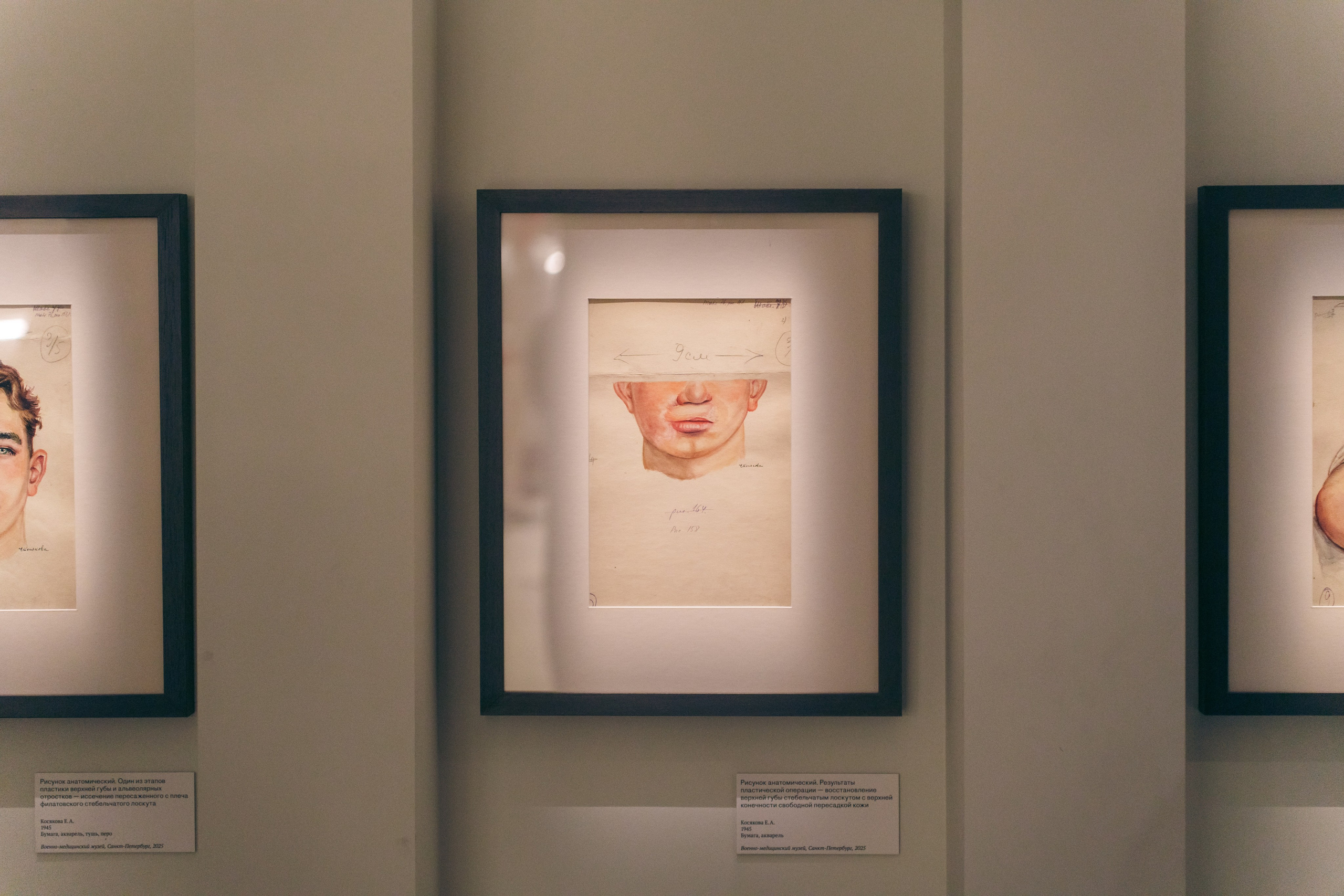 Выставка Великая страна — великая победа. Фотограф в Санкт-Петербурге Ибрагимова Алина