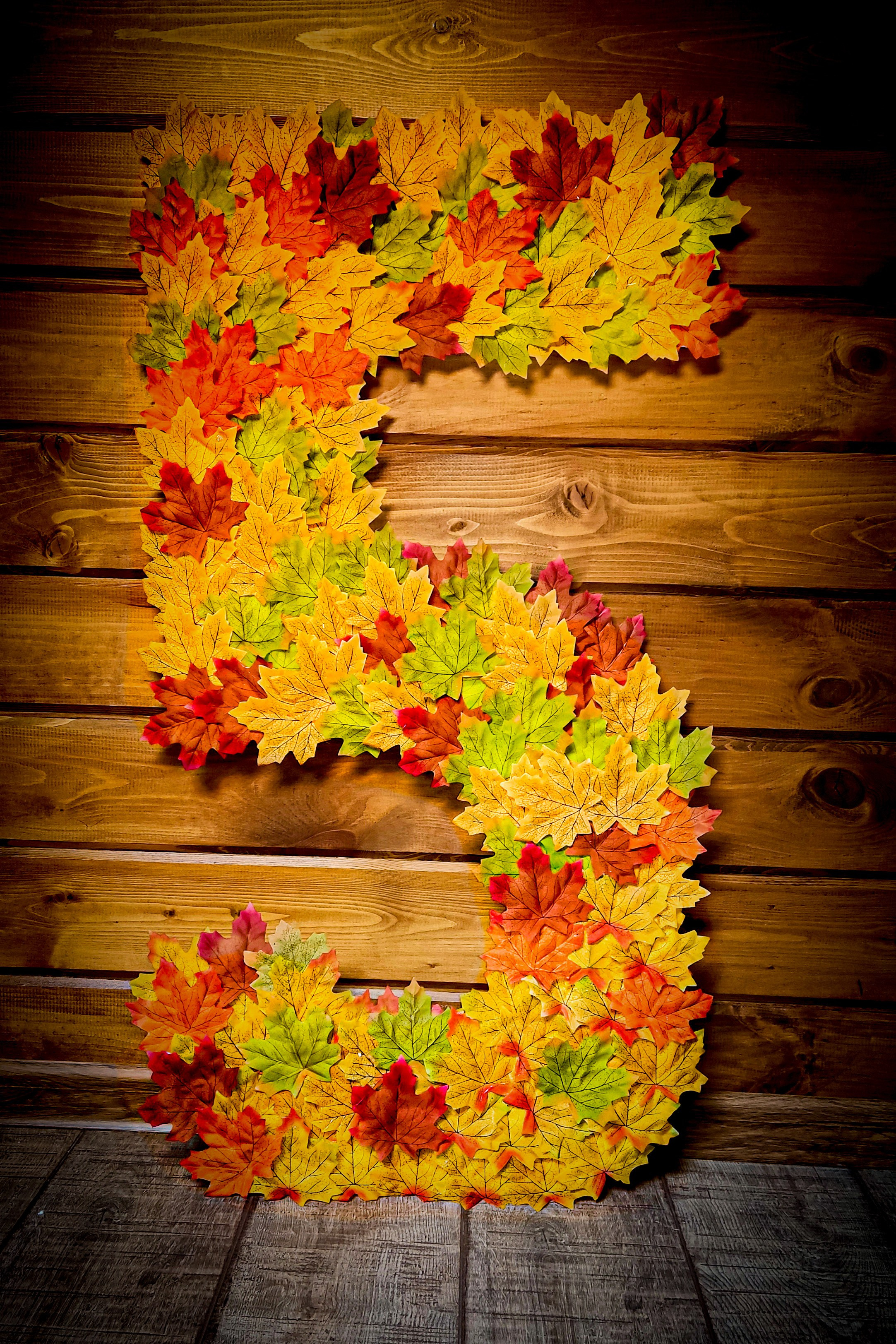 Аксессуары для съёмки. Школьный фотограф