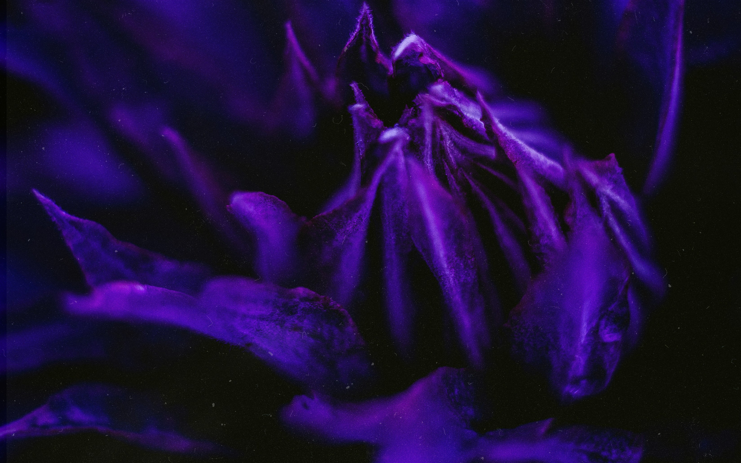 N a t u r e. Your photographer