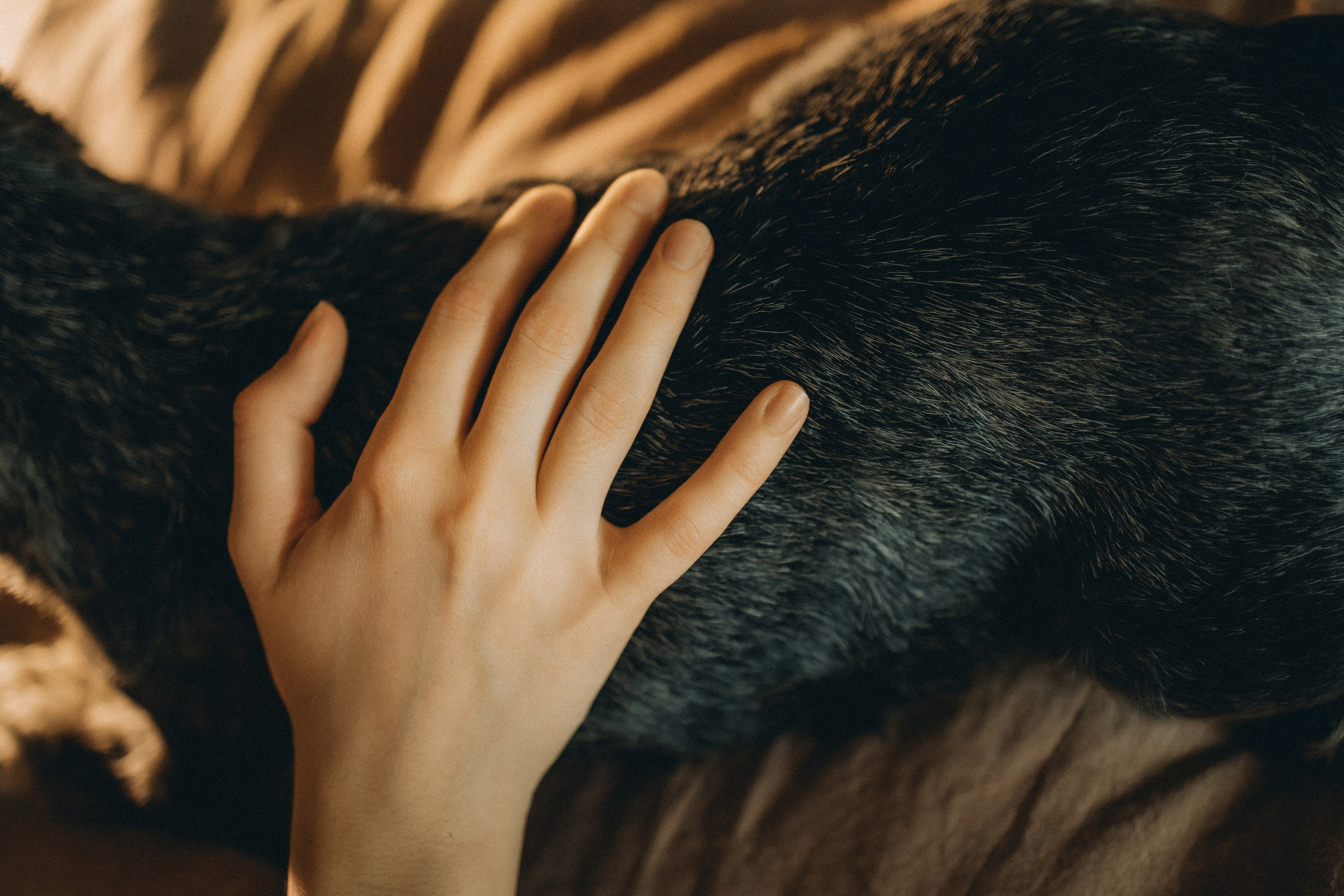 Лена и Зефир