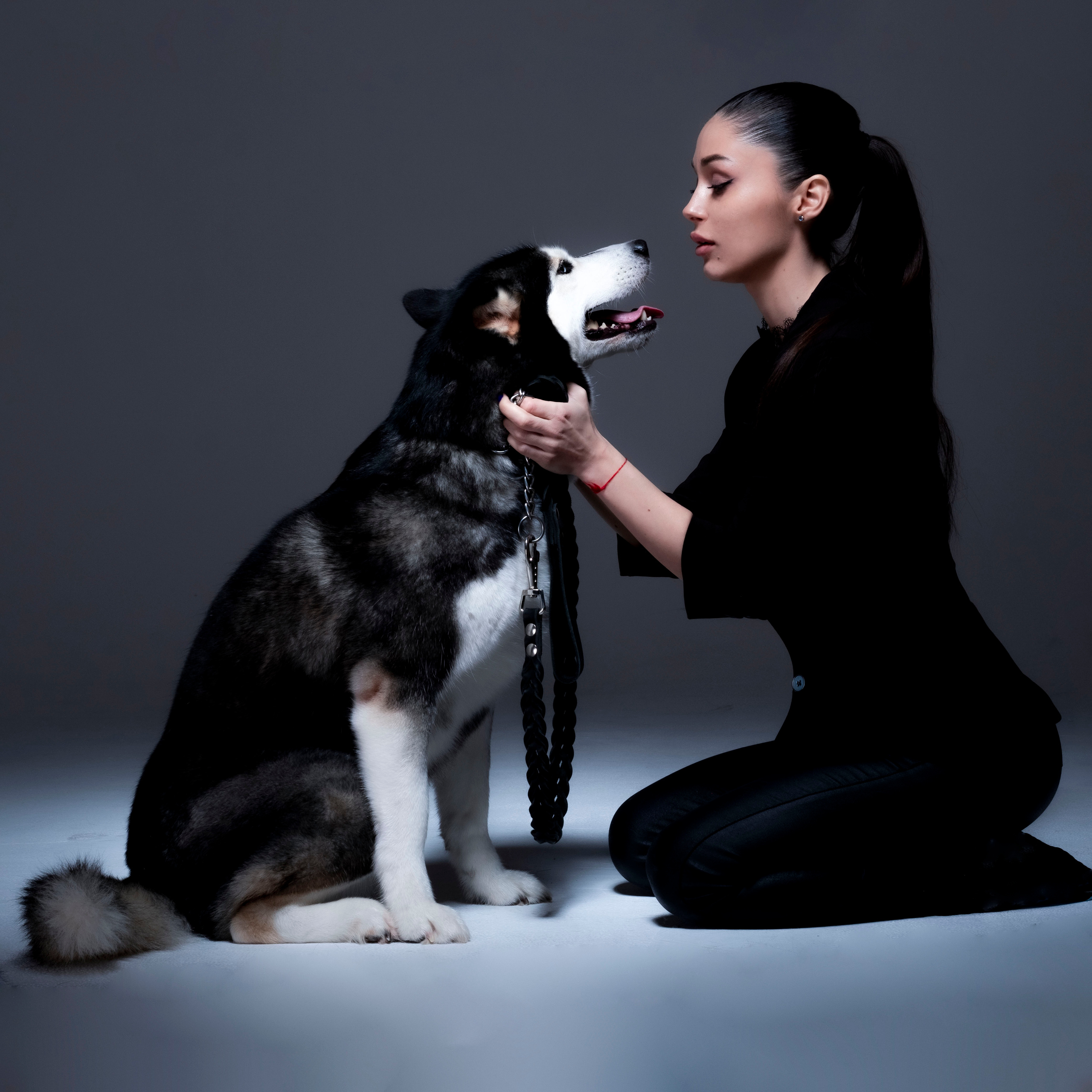 Хаски. Студийный, портретный, семейный фотограф Южно-Сахалинска Яна Радаева