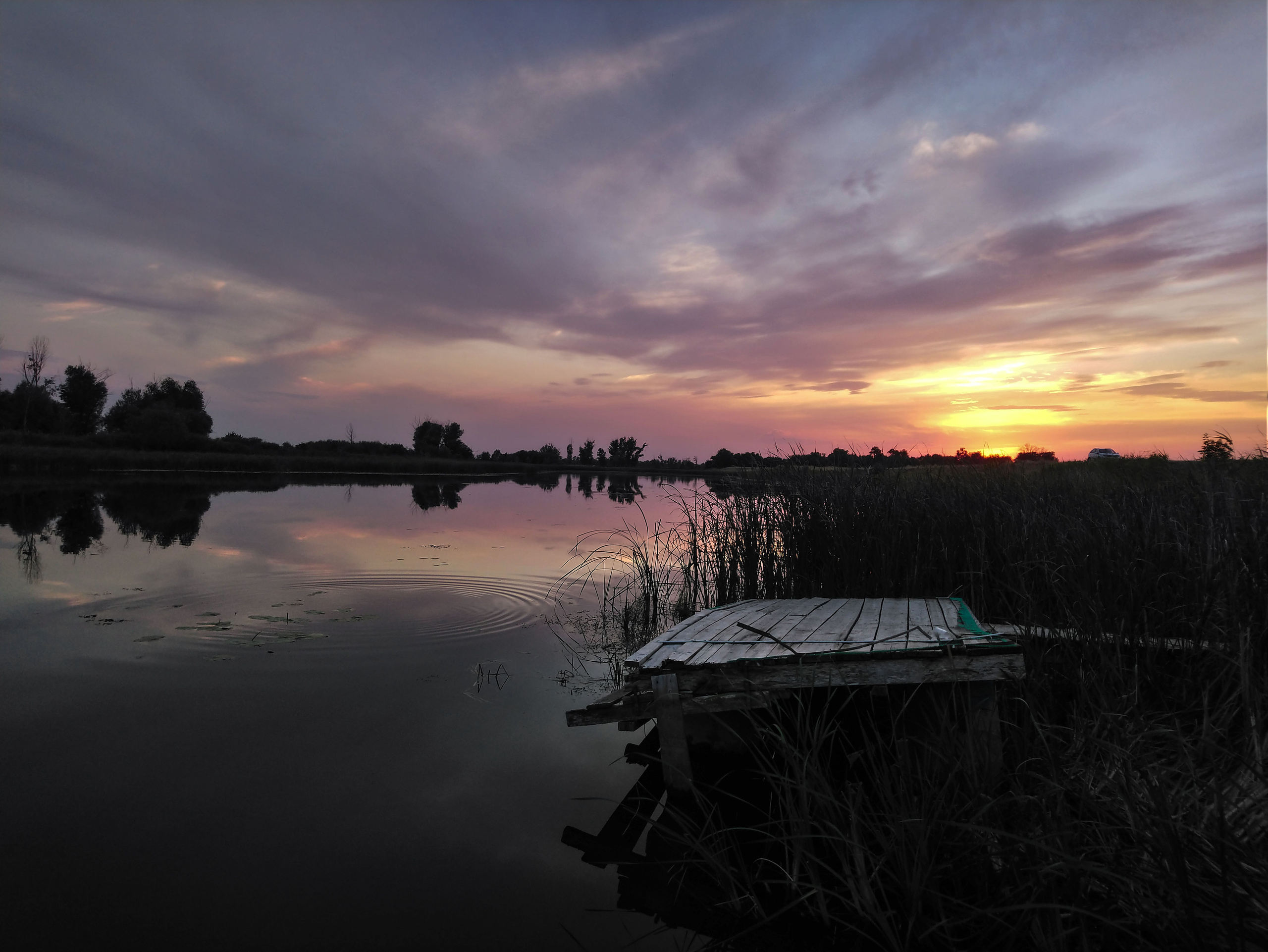 Природа. Студийный, портретный, семейный фотограф Южно-Сахалинска Яна Радаева