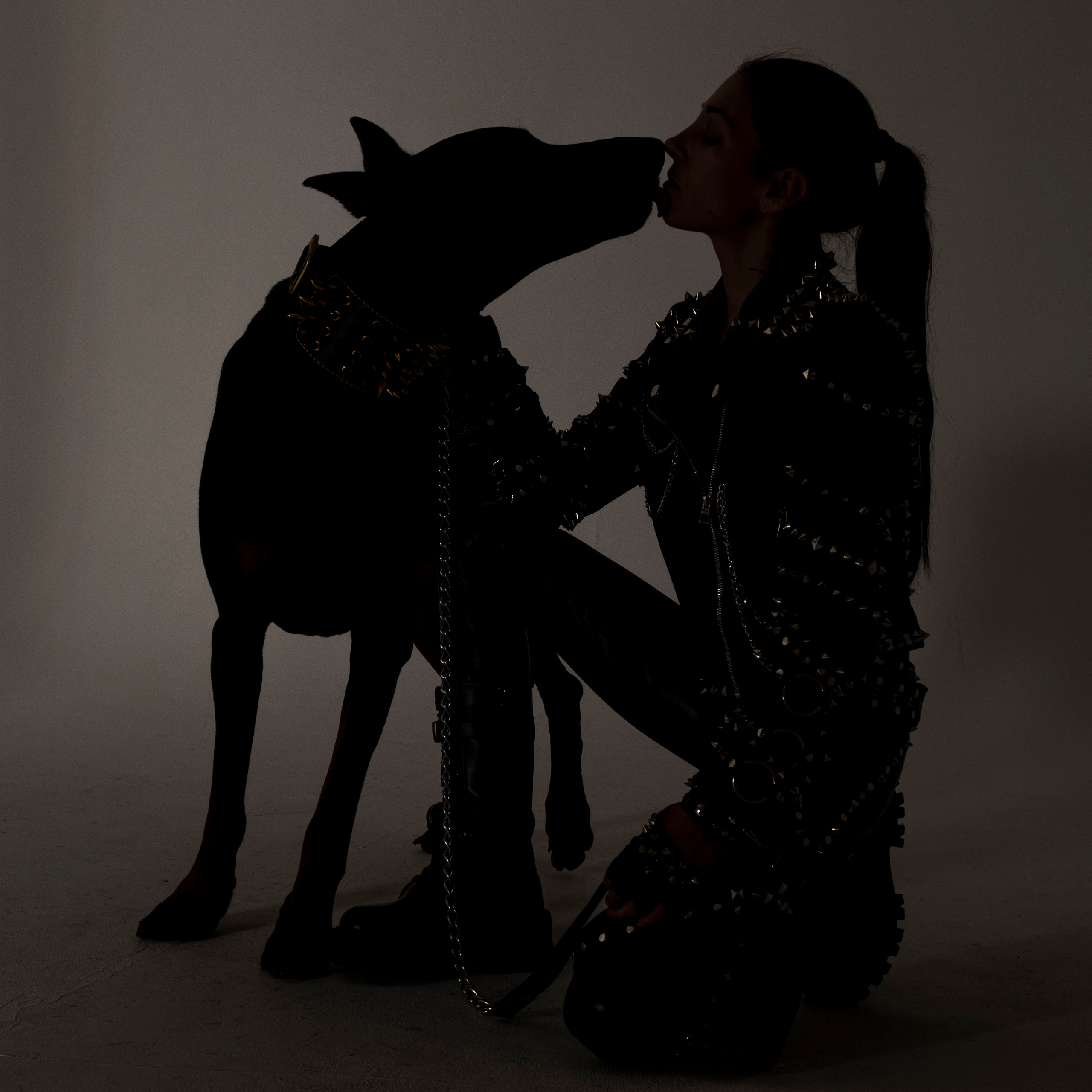 Доберман. Студийный, портретный, семейный фотограф Южно-Сахалинска Яна Радаева