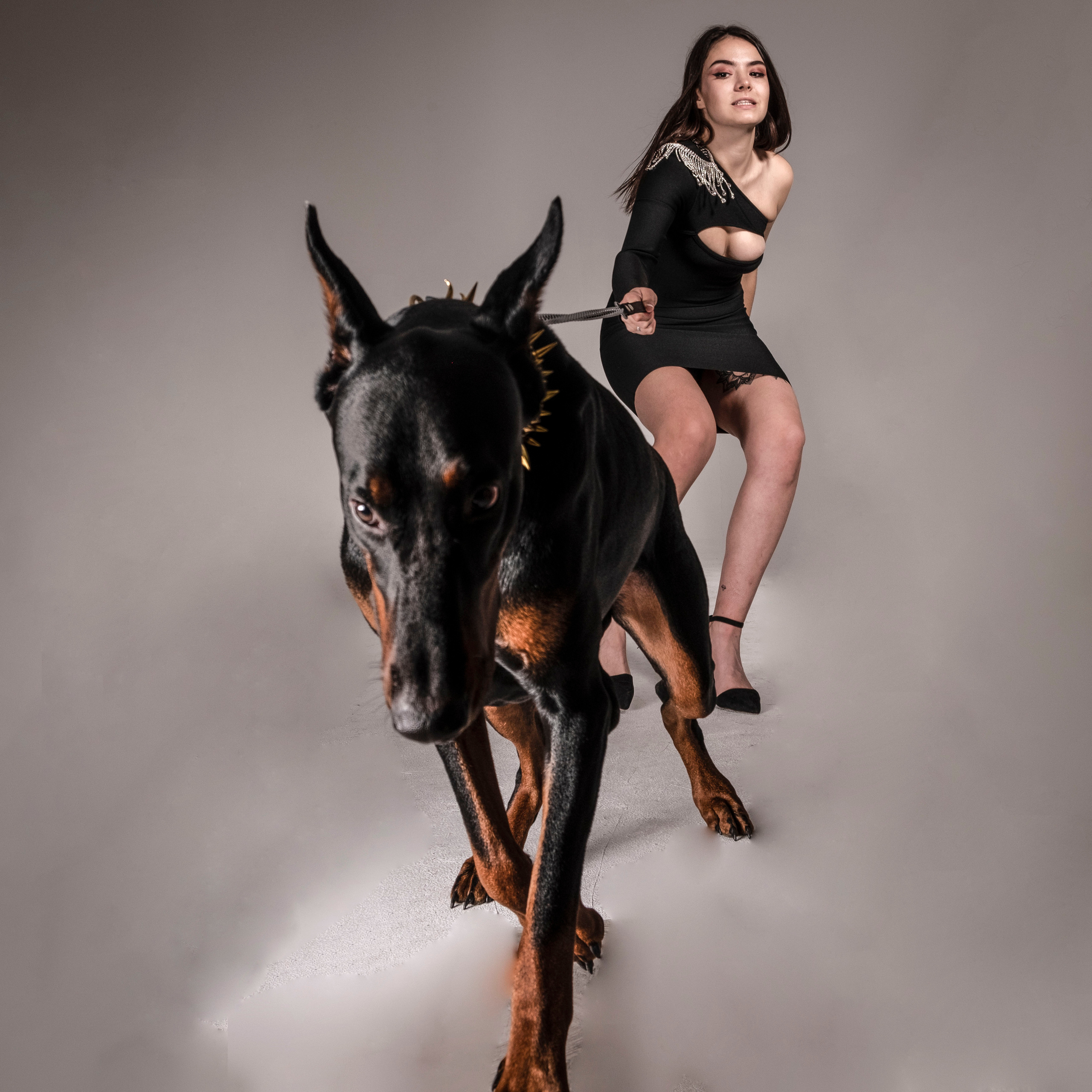 Доберман. Студийный, портретный, семейный фотограф Южно-Сахалинска Яна Радаева