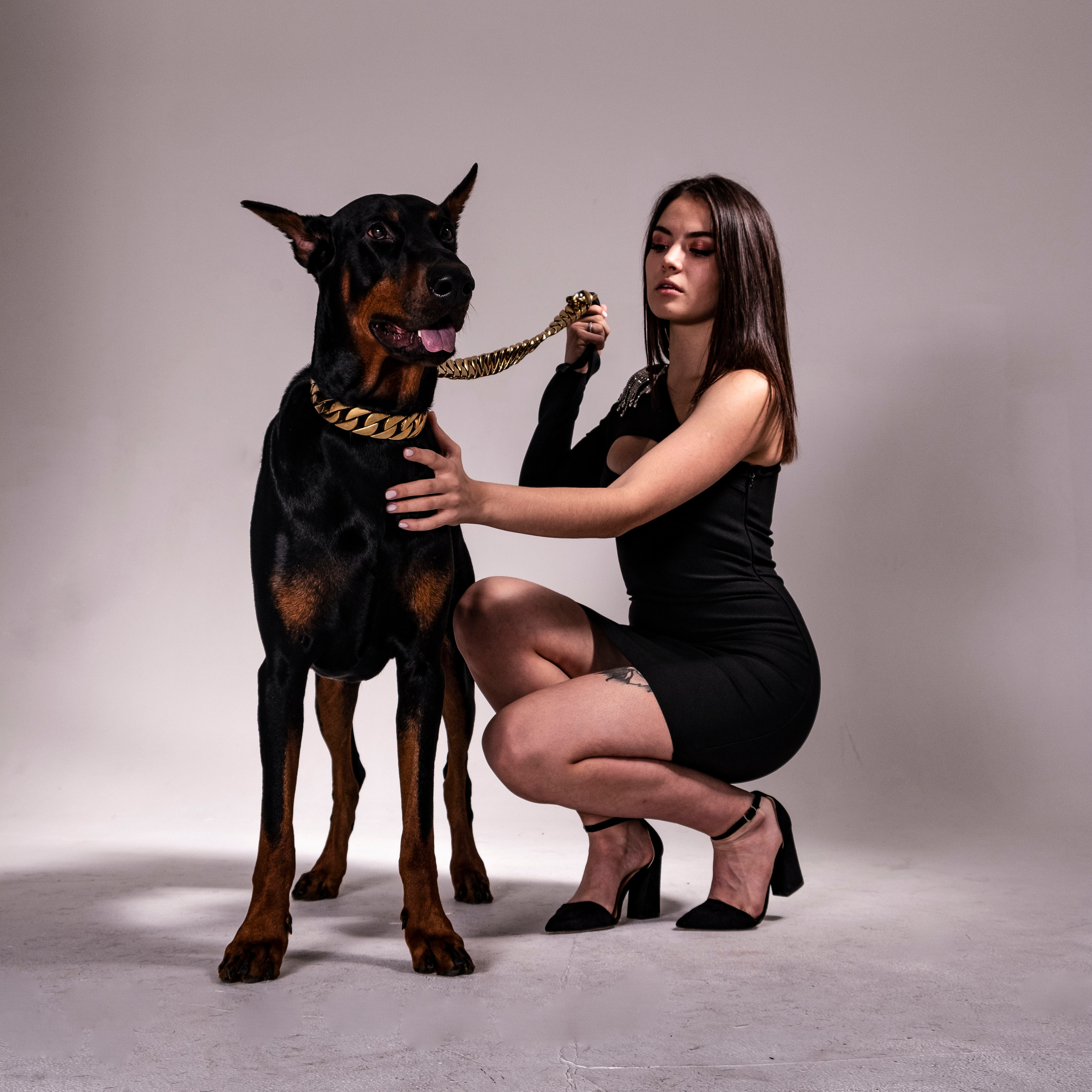 Доберман. Студийный, портретный, семейный фотограф Южно-Сахалинска Яна Радаева