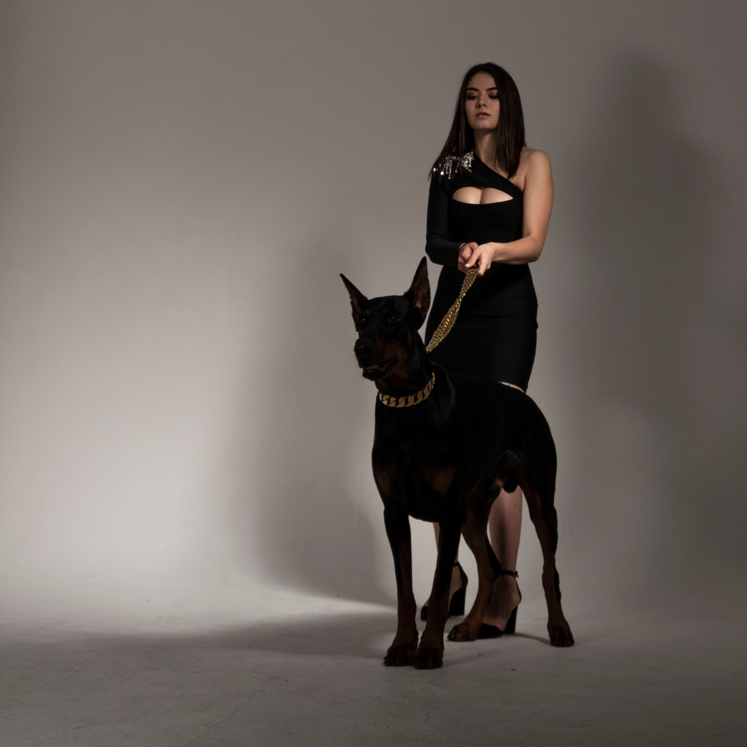 Доберман. Студийный, портретный, семейный фотограф Южно-Сахалинска Яна Радаева