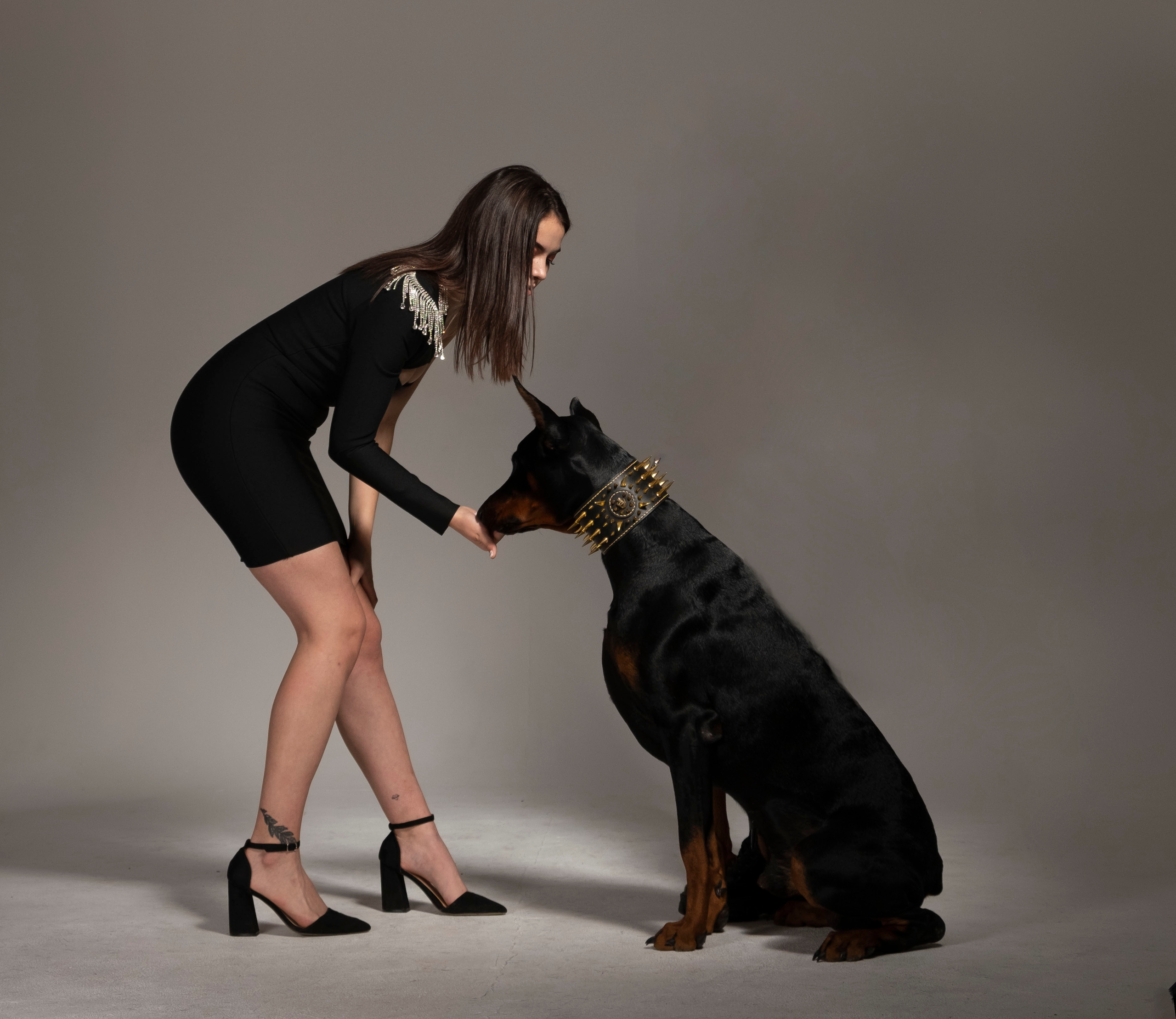 Доберман. Студийный, портретный, семейный фотограф Южно-Сахалинска Яна Радаева