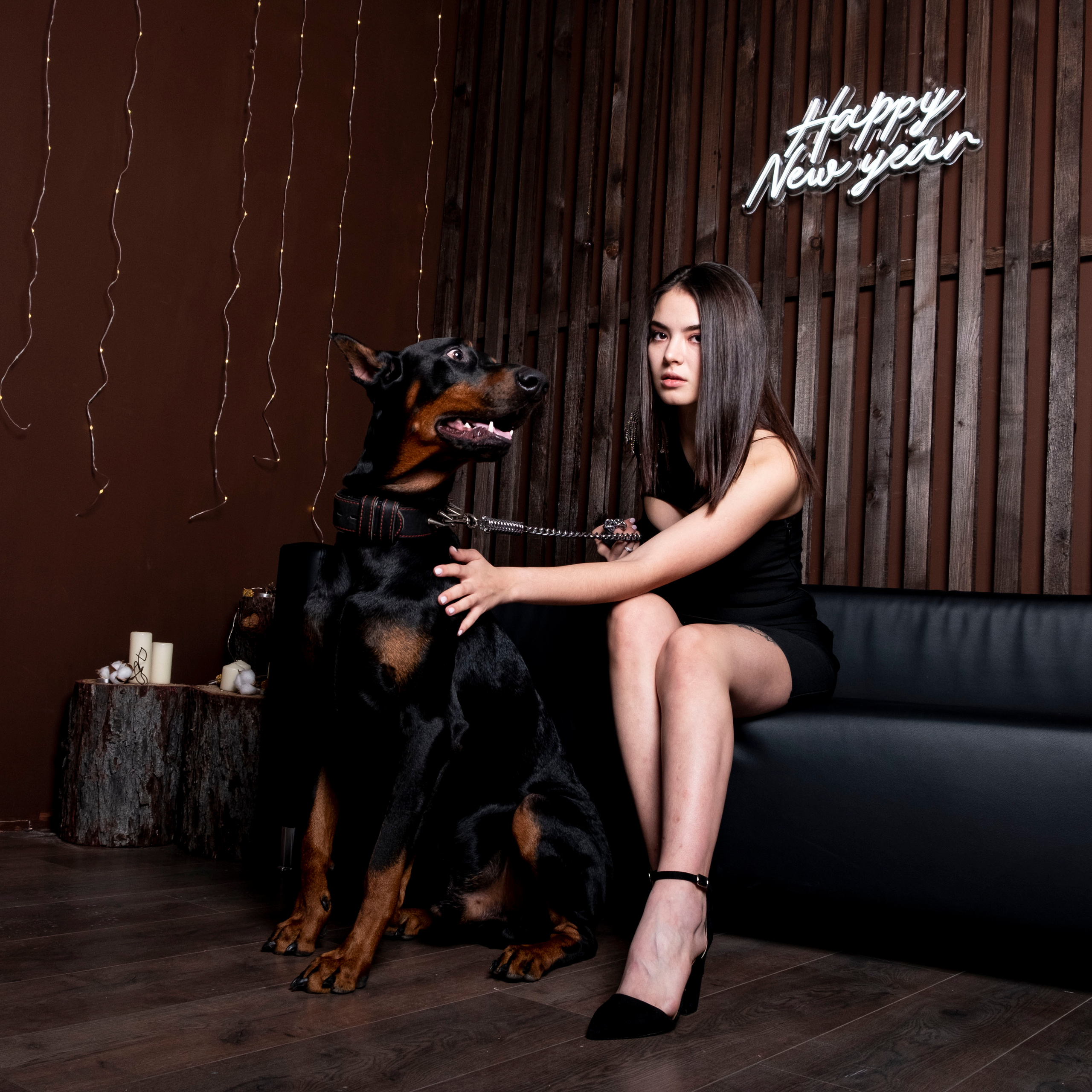 Доберман. Студийный, портретный, семейный фотограф Южно-Сахалинска Яна Радаева