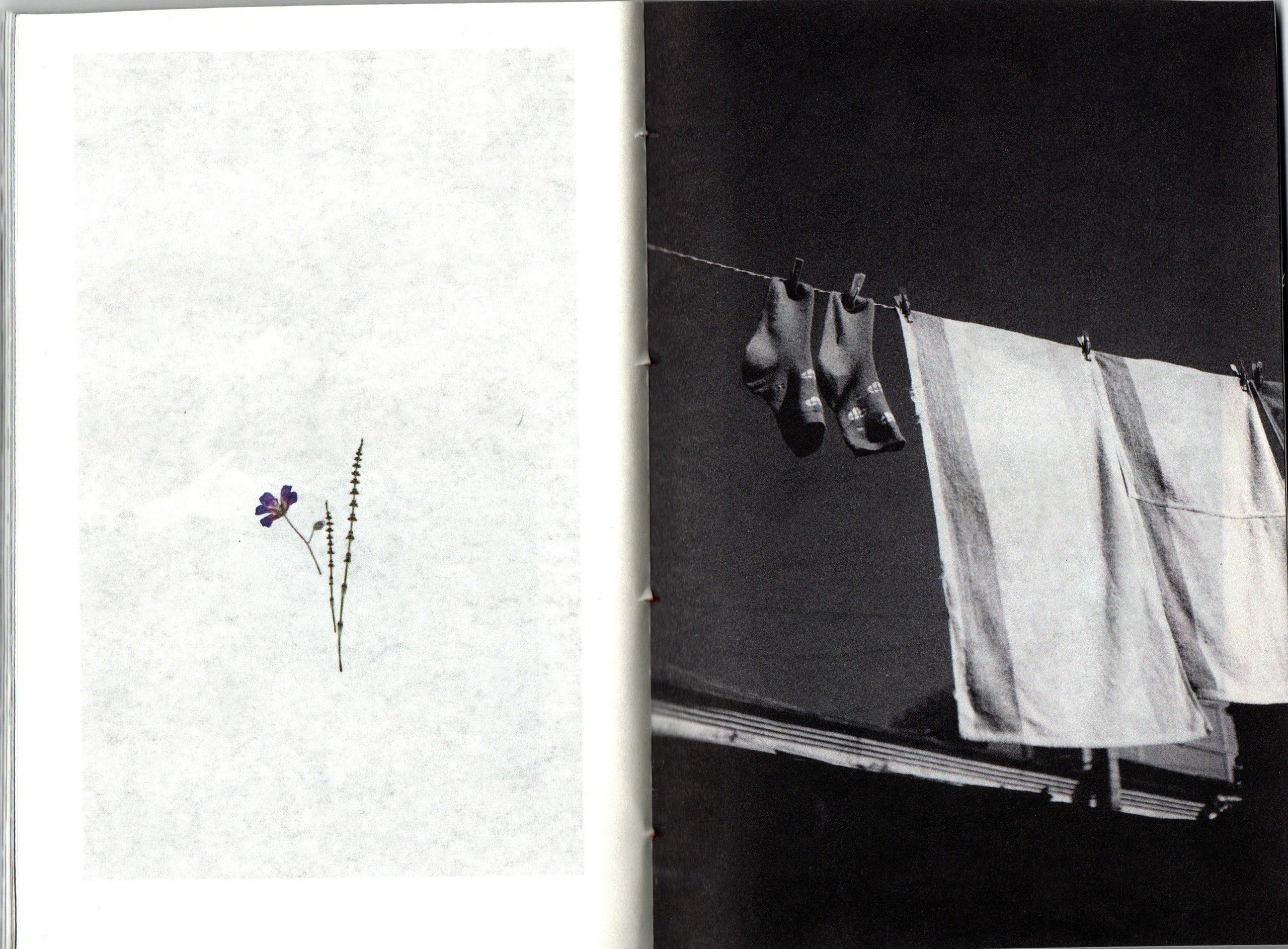 Любители ягодных пирогов. Фотограф Анна Кирнос