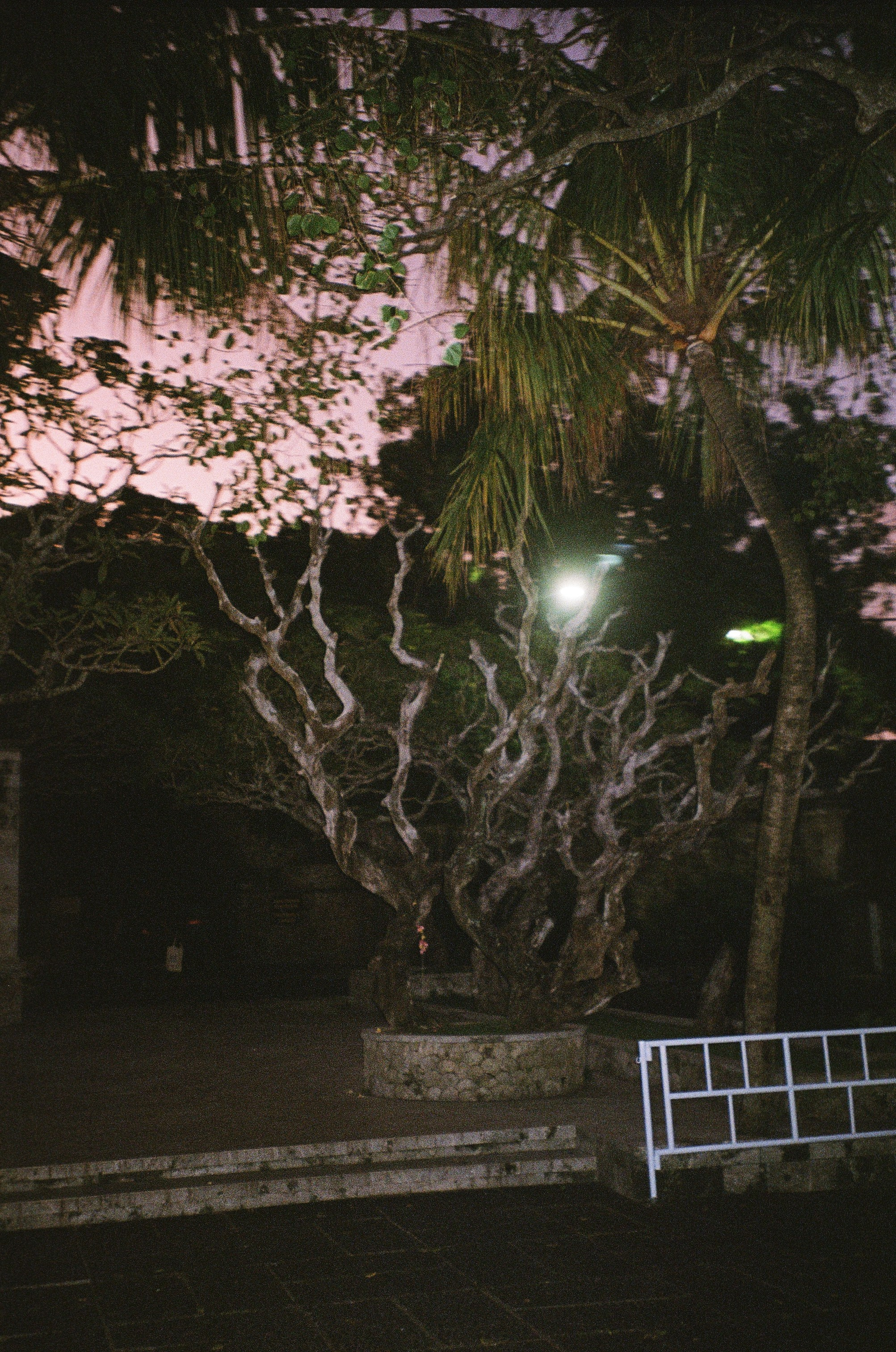 SOMEWHERE. Carolinetru