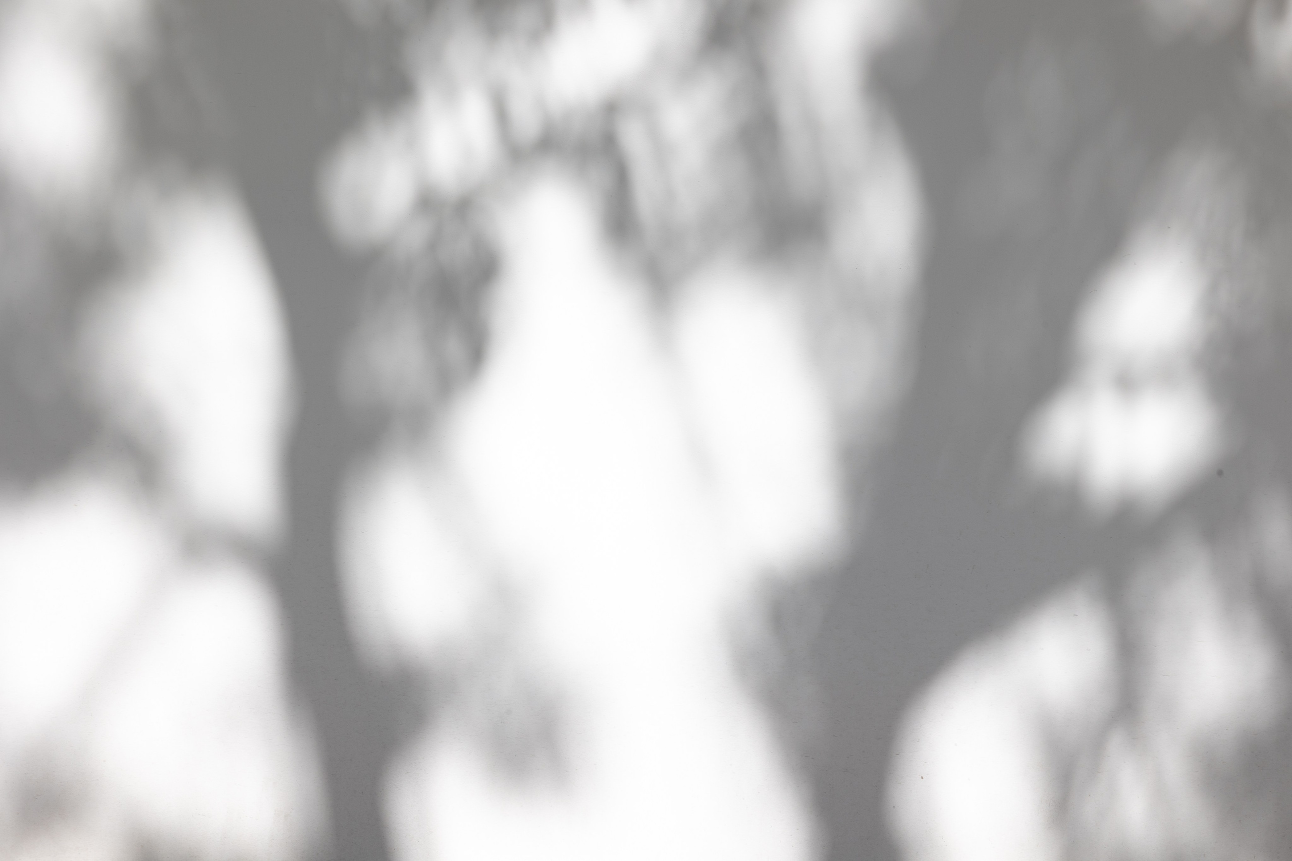 Art prints. Фотограф алина стерхова, алина стерхова фотограф, фотограф москва