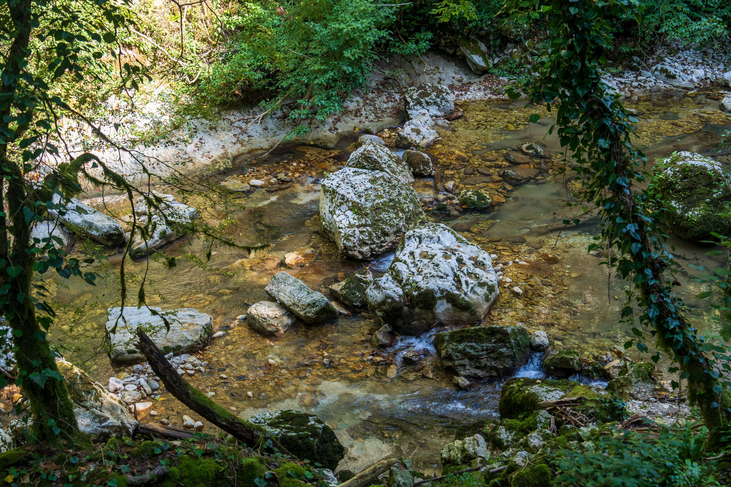 Mice мероприятие — тур по Абхазии. Репортажный фотограф в Красной Поляне и Сочи Павлюченко Екатерина