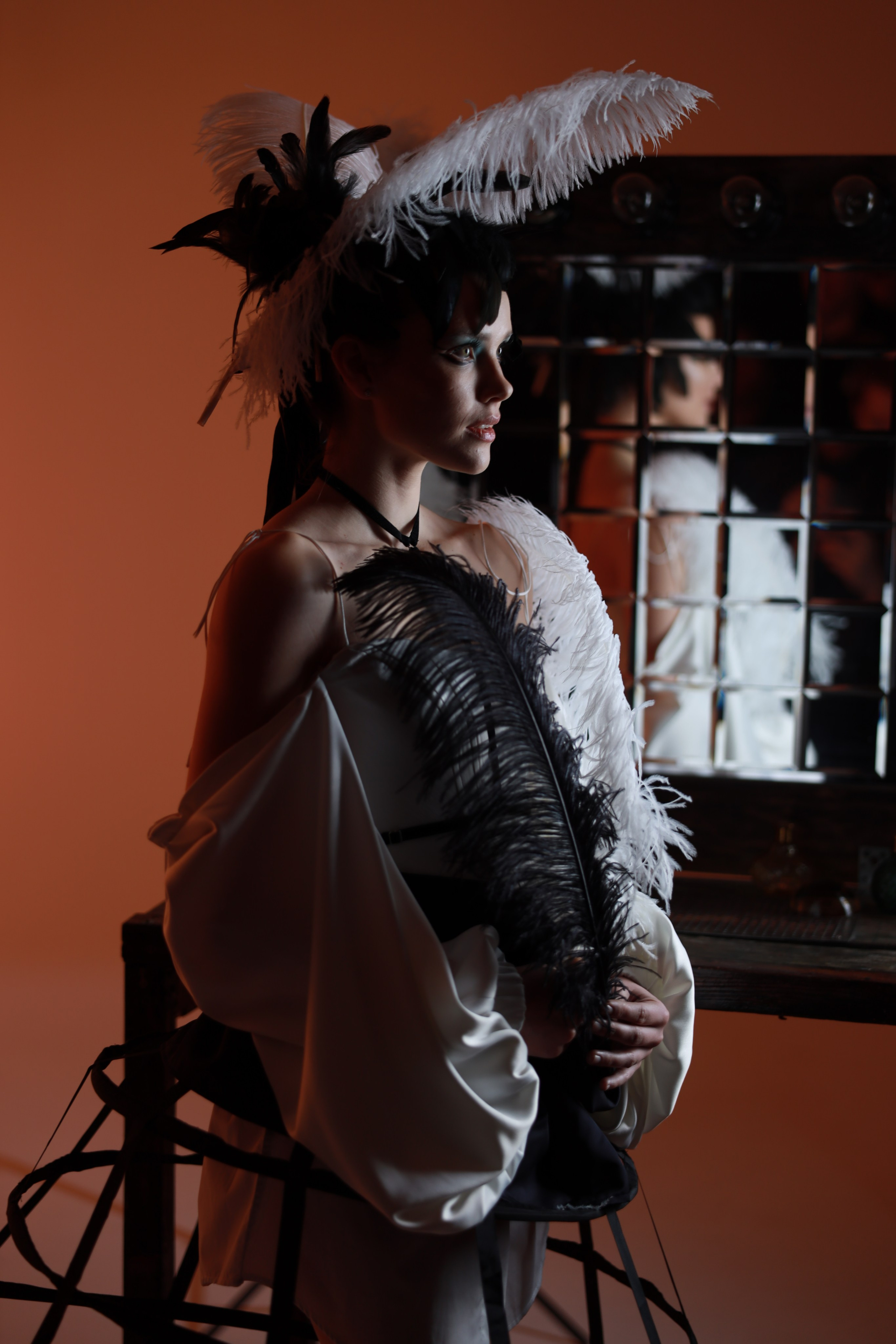 Перья. Съемка в студии под ваш запрос, студийные съемки, фотографии архитектурных объектов — Александр Евстигнеев — фотограф Москва
