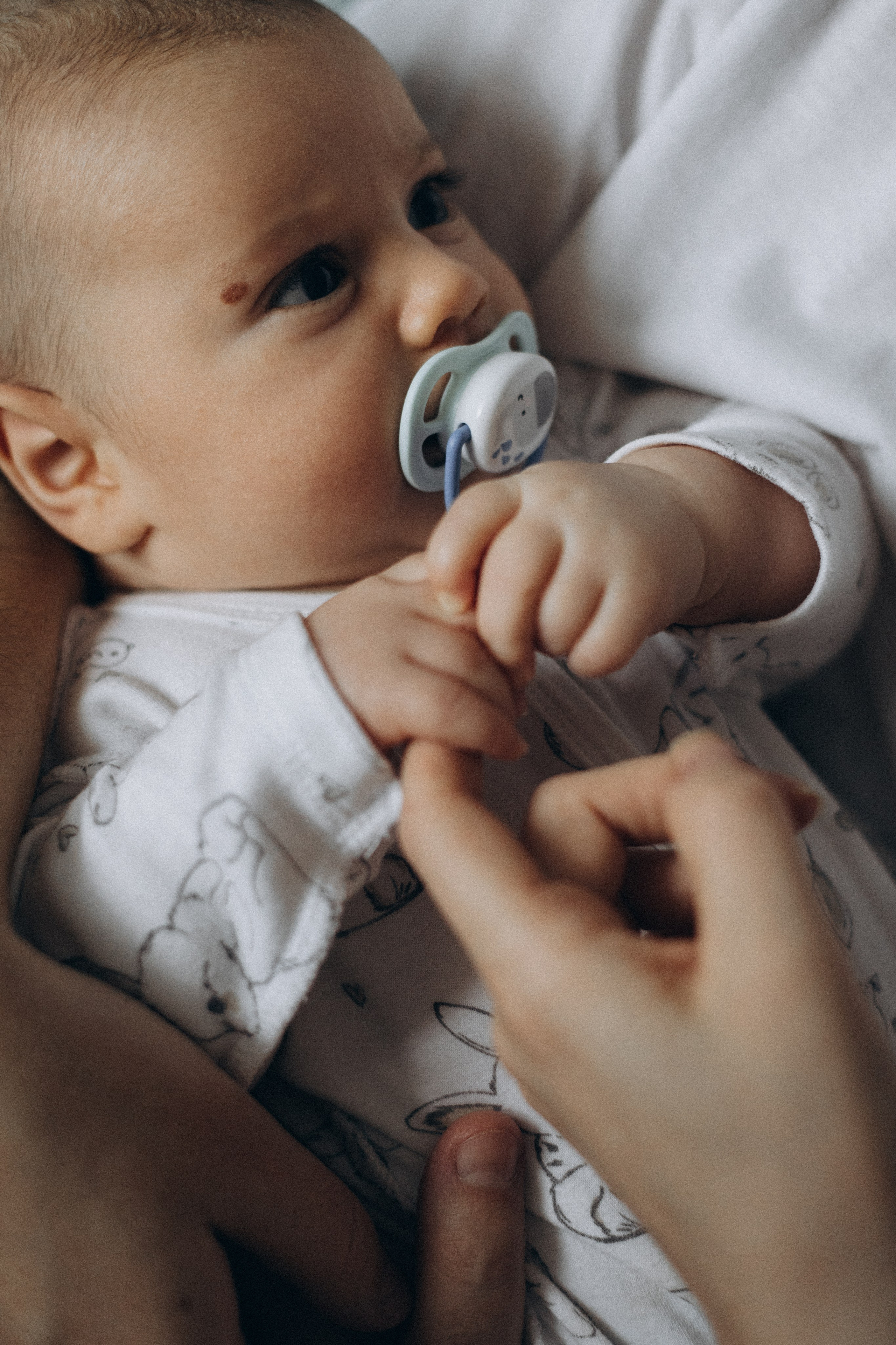 ДОМАШНИЕ СЪЁМКИ. Главная