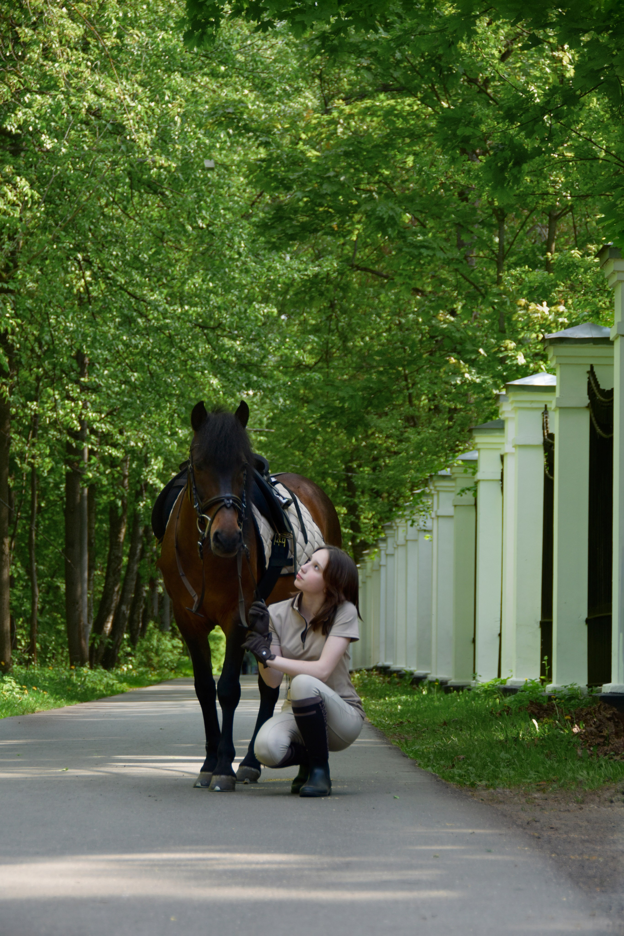 Александра и Капрал (клеппер). Конный фотограф Москва