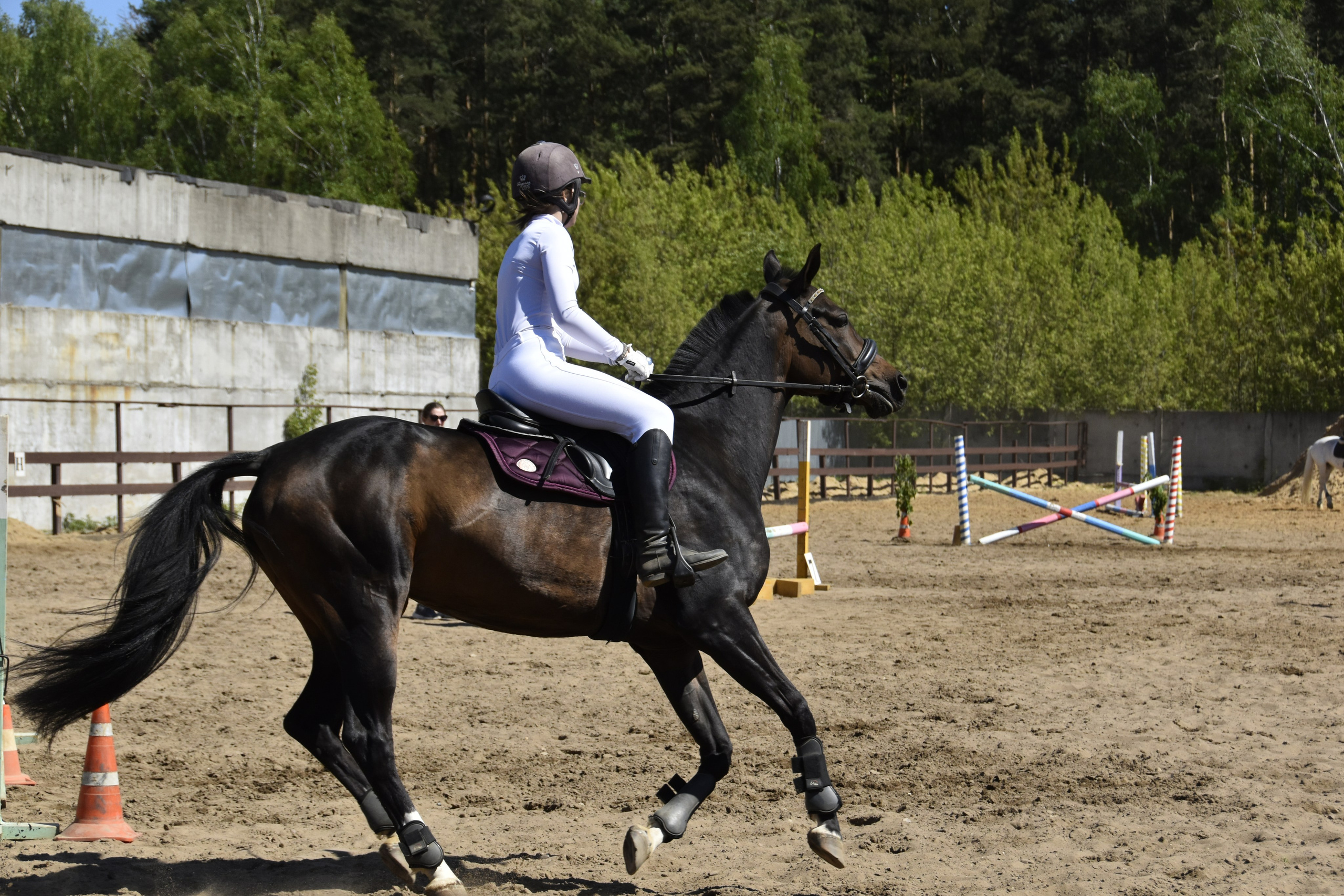 Соревнования по конкуру. КСК «Галактика». Конный фотограф Москва