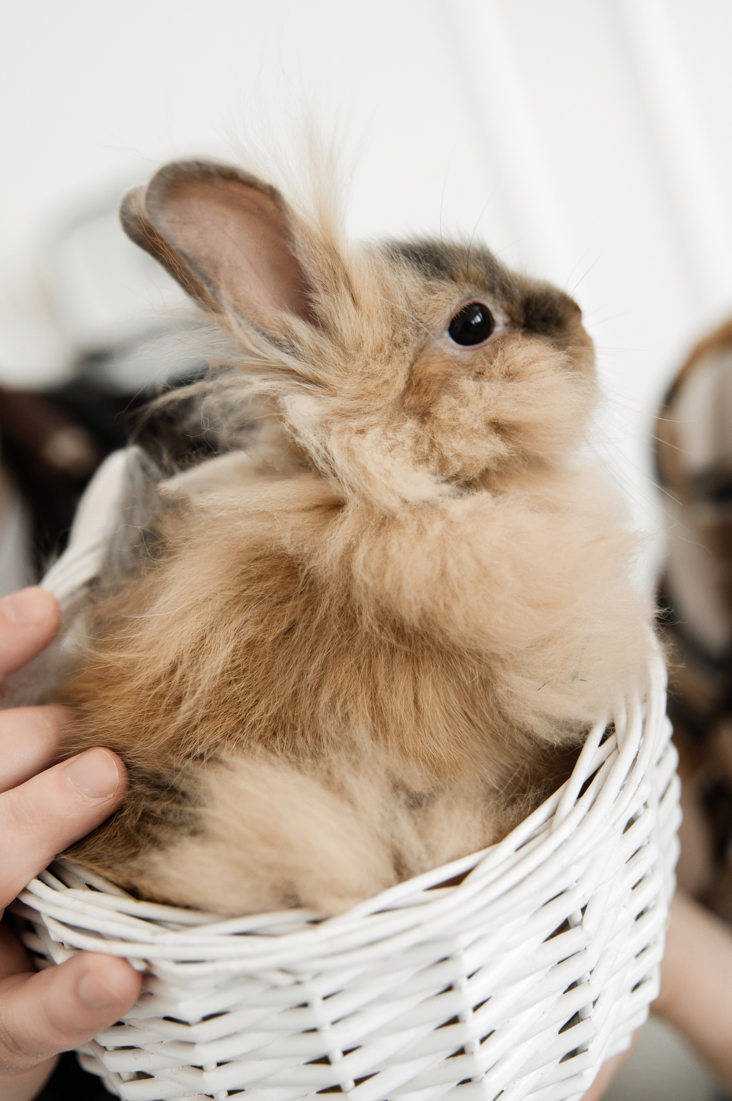 I&V. Фотограф Кирилл Верт