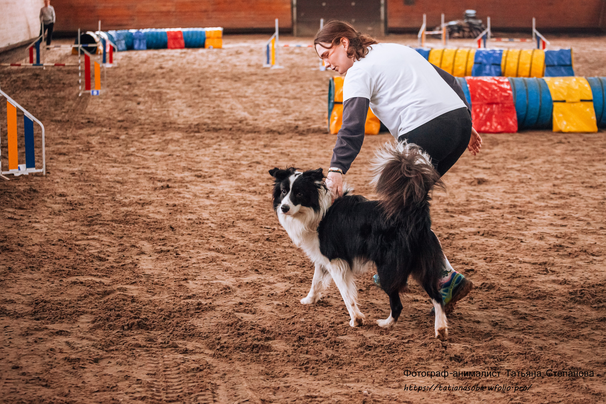 Соревнования по Аджилити 25.02.2024. Фотограф-анималист Татьяна Степанова