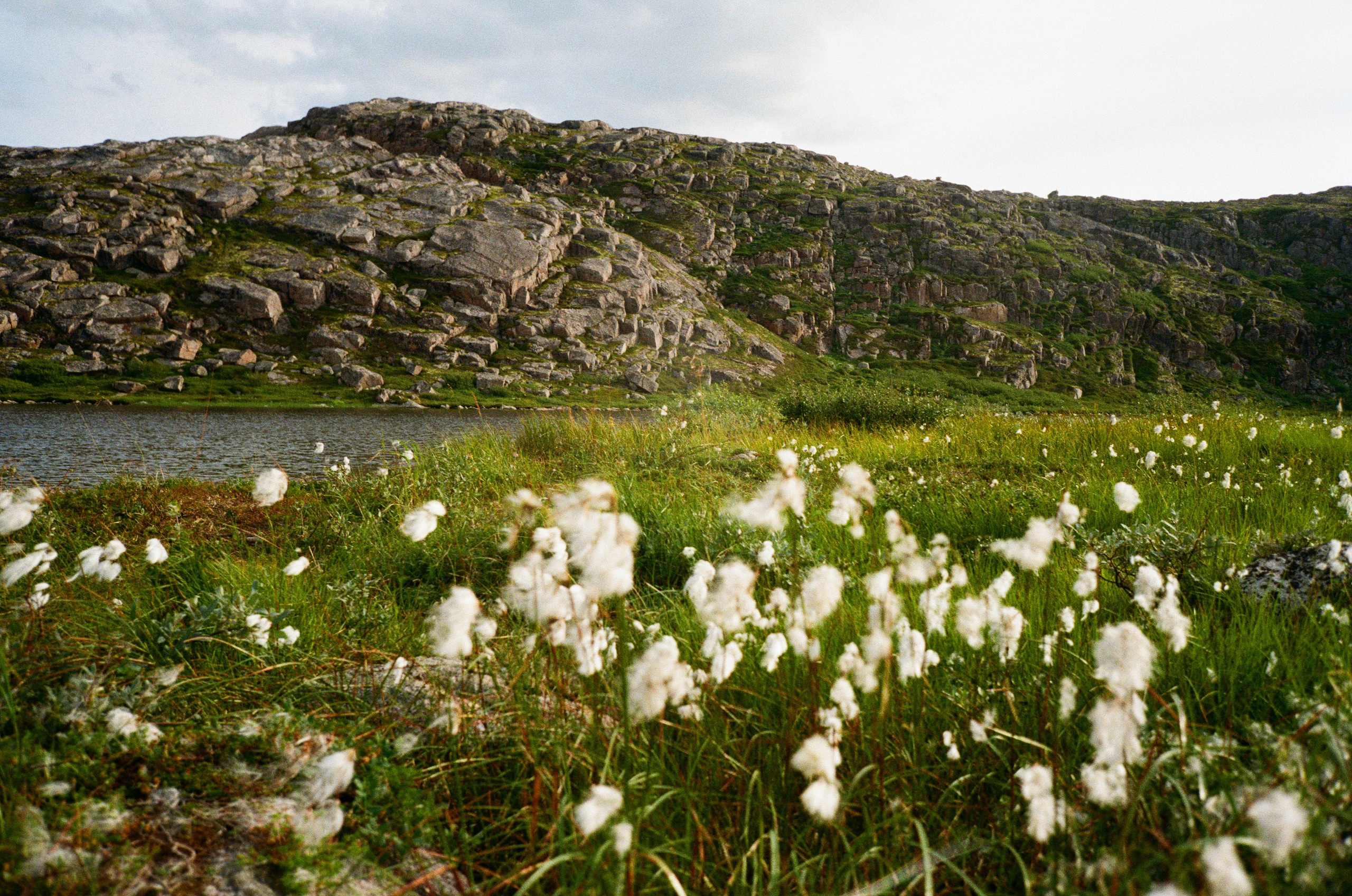 Снято на пленку. Семейный LIFESTYLE фотограф в Москве