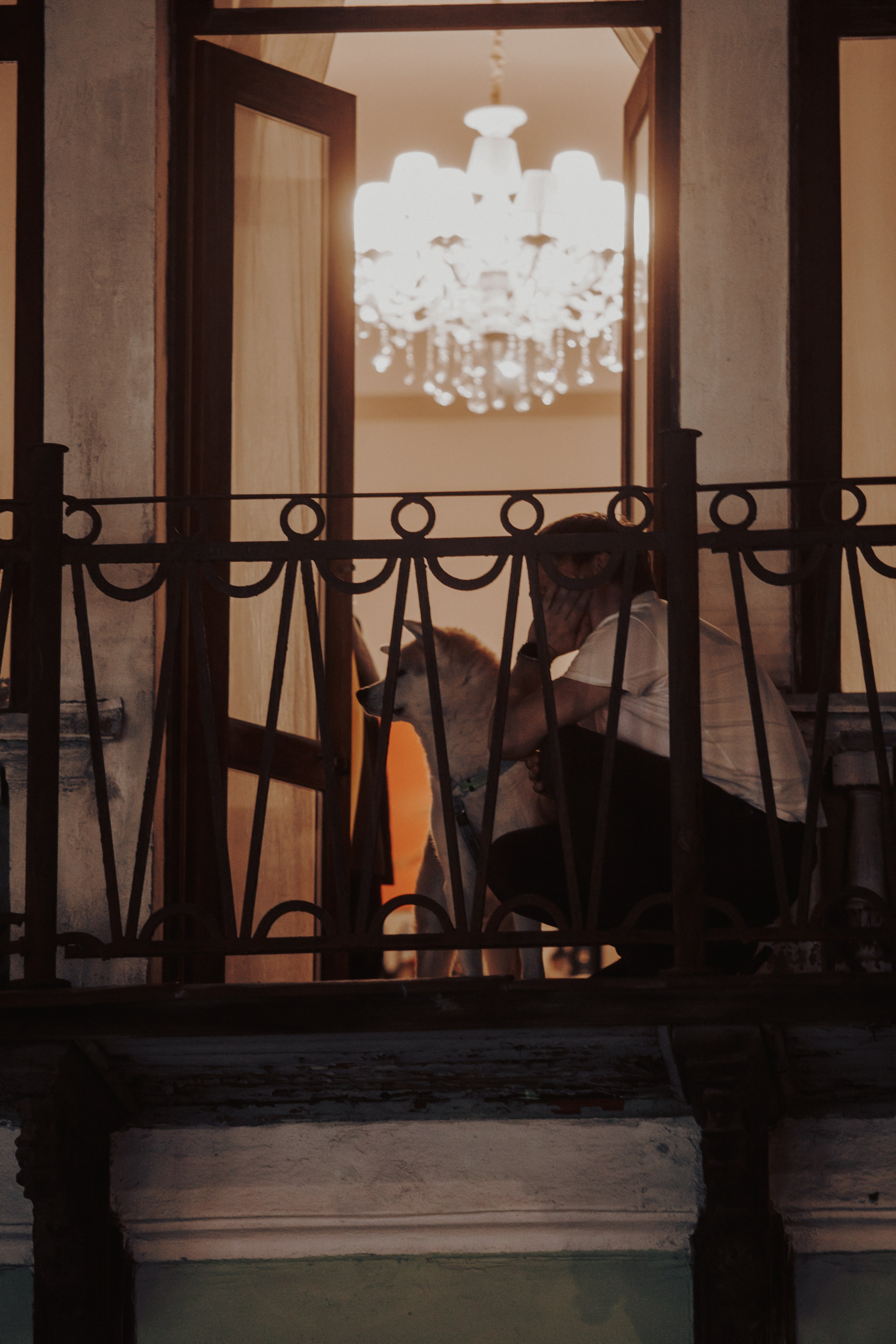 КБС. Фотограф Елена Богачева (lenalena_na_na_na)