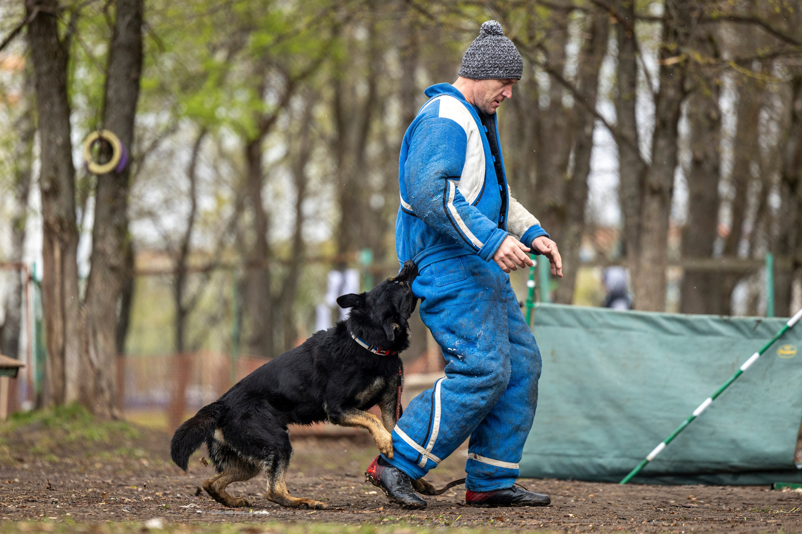 Квалификационные состязания по мондьорингу г. Вологда 11.05.24. Фотограф-анималист Анна Маринич