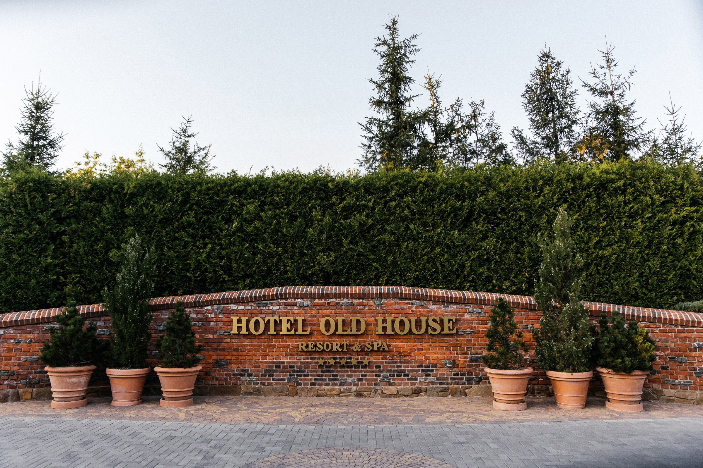 Александр и Яна (31.08.23). Свадебный фотограф в Ростове-на-Дону