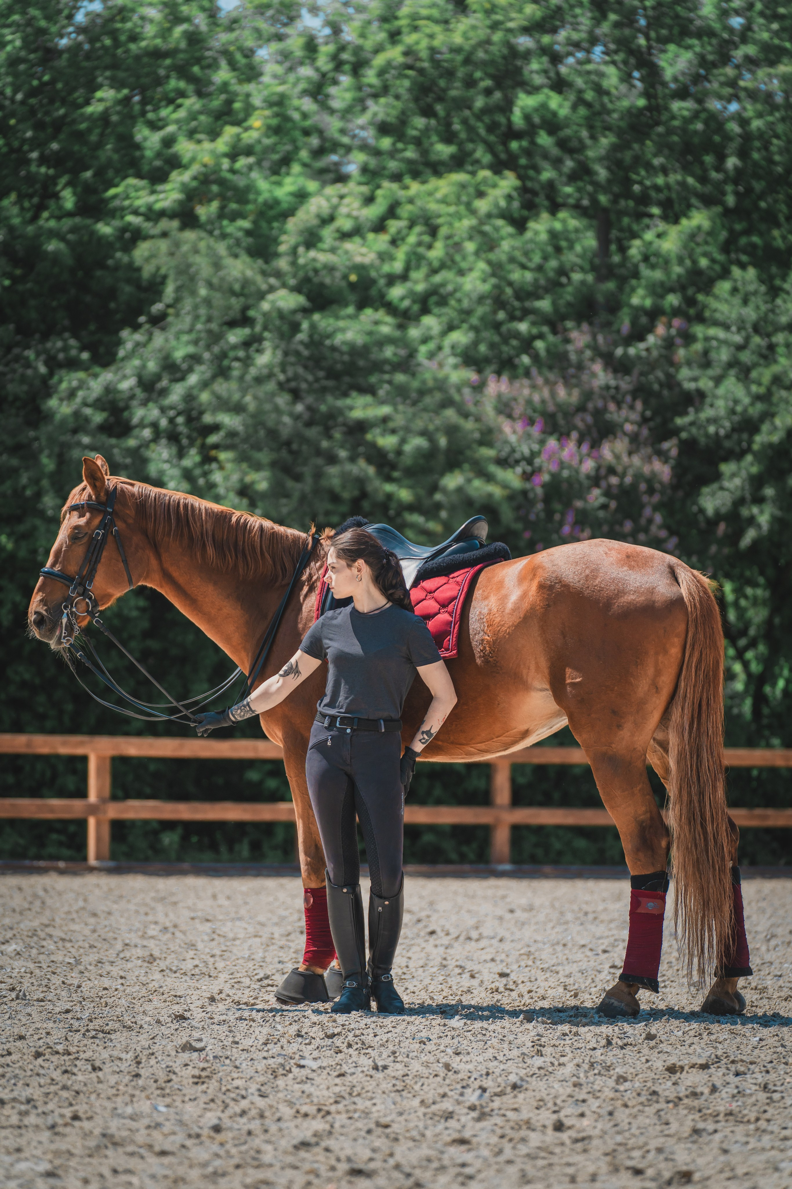 Валерия и Ланселот. Тренировка по выездке. КСК «Урожай». Фотограф в Москве Ленарская Дарья