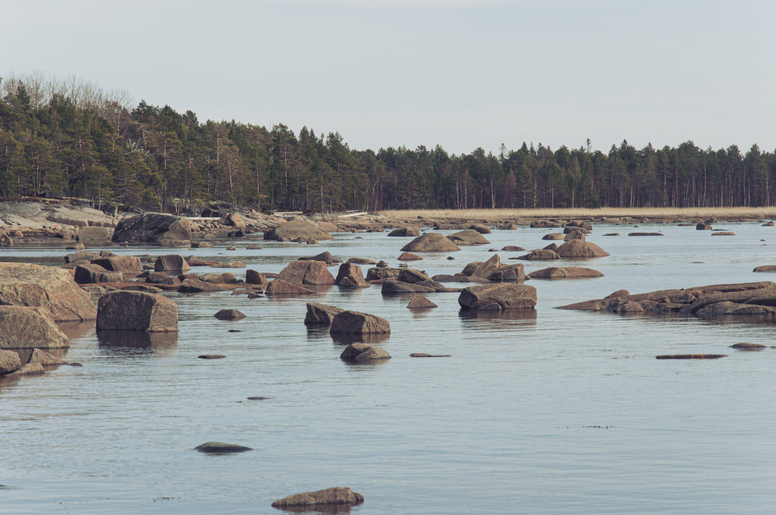 Фотографии с Белого моря. Авторские походы по Белому морю
