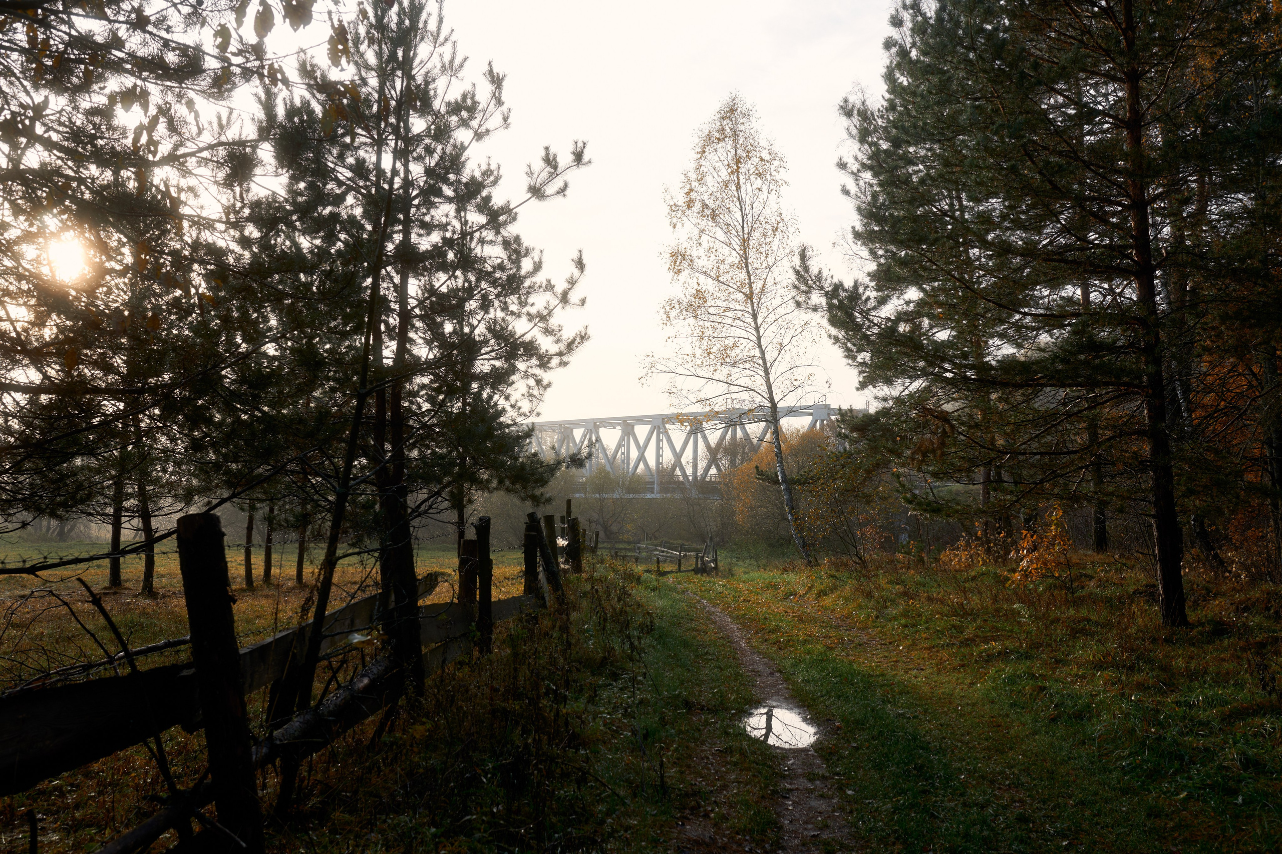 Портретный фотограф в Калуге Арсений Борода