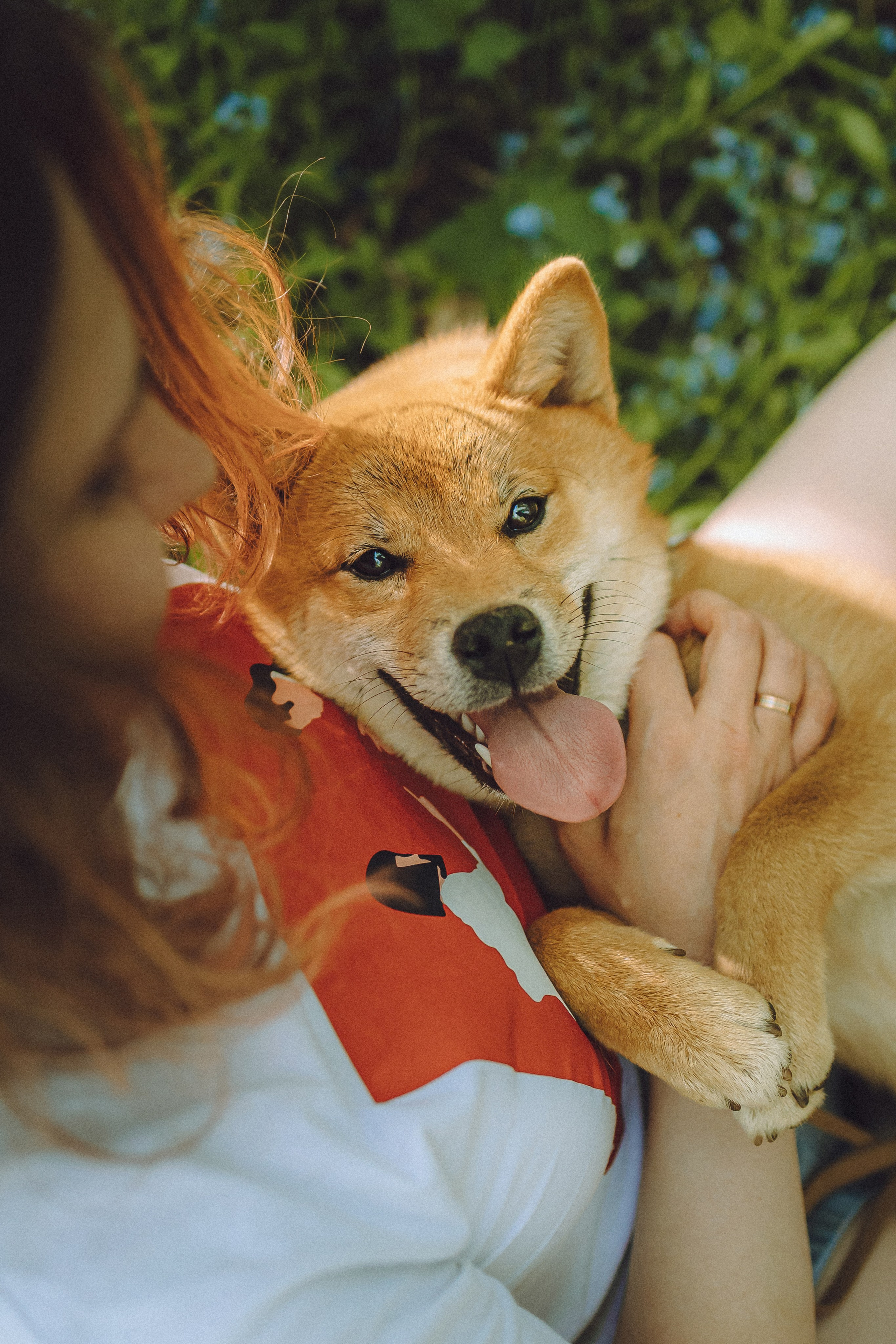 Шед, Цири, Чиби, Цера и их семья