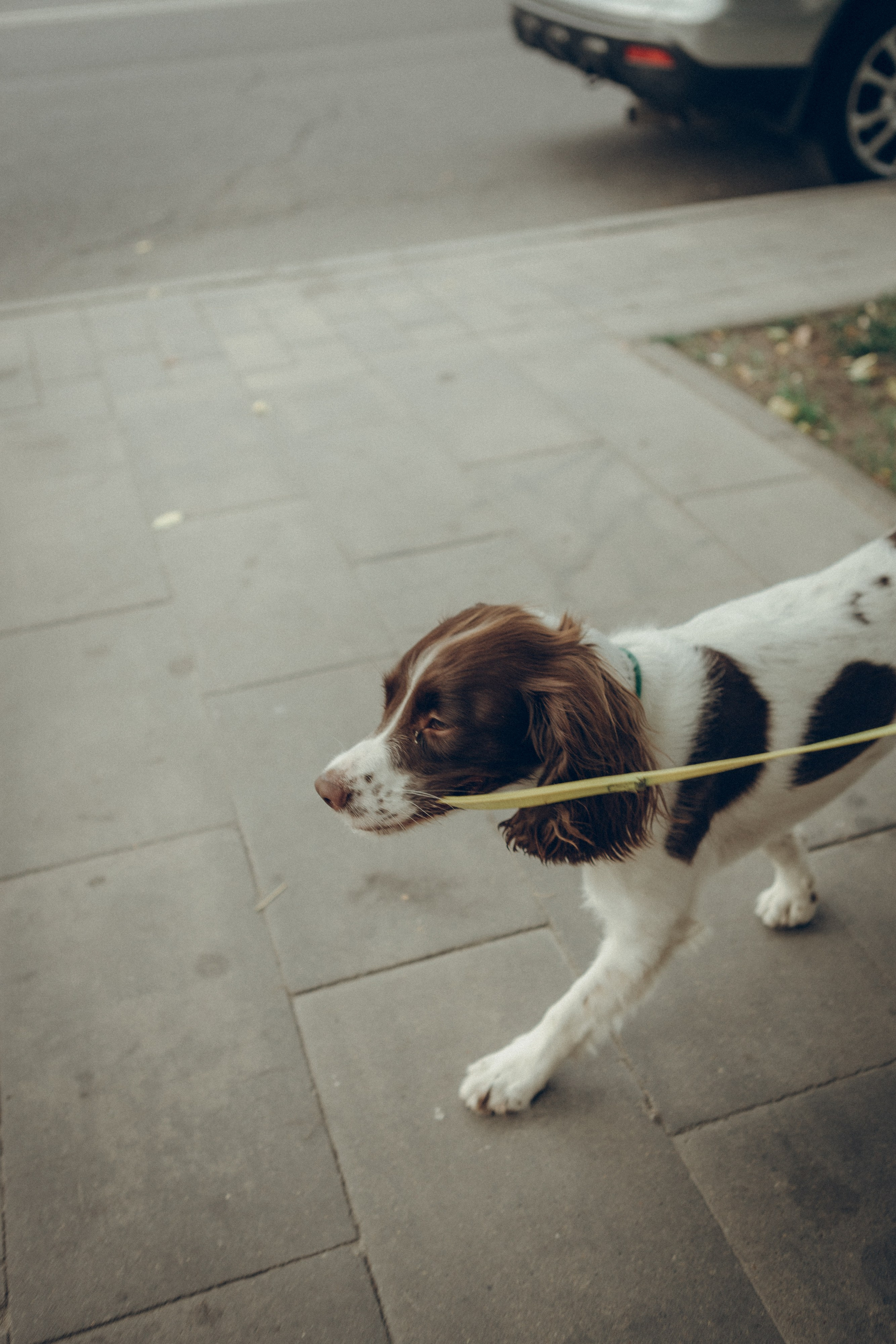 Family moment. Семейный фотограф и фотограф на роды в Ростове-на-Дону Мухина Виктория