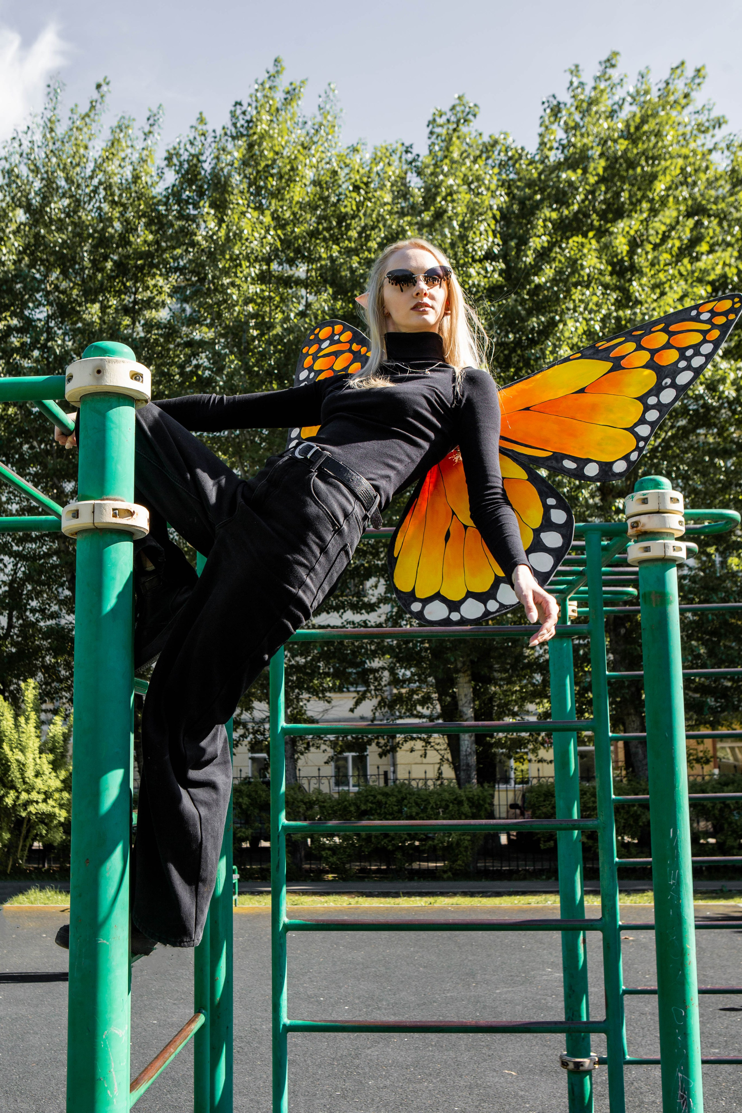 Бабочка. Фотограф Екатерина Голицына