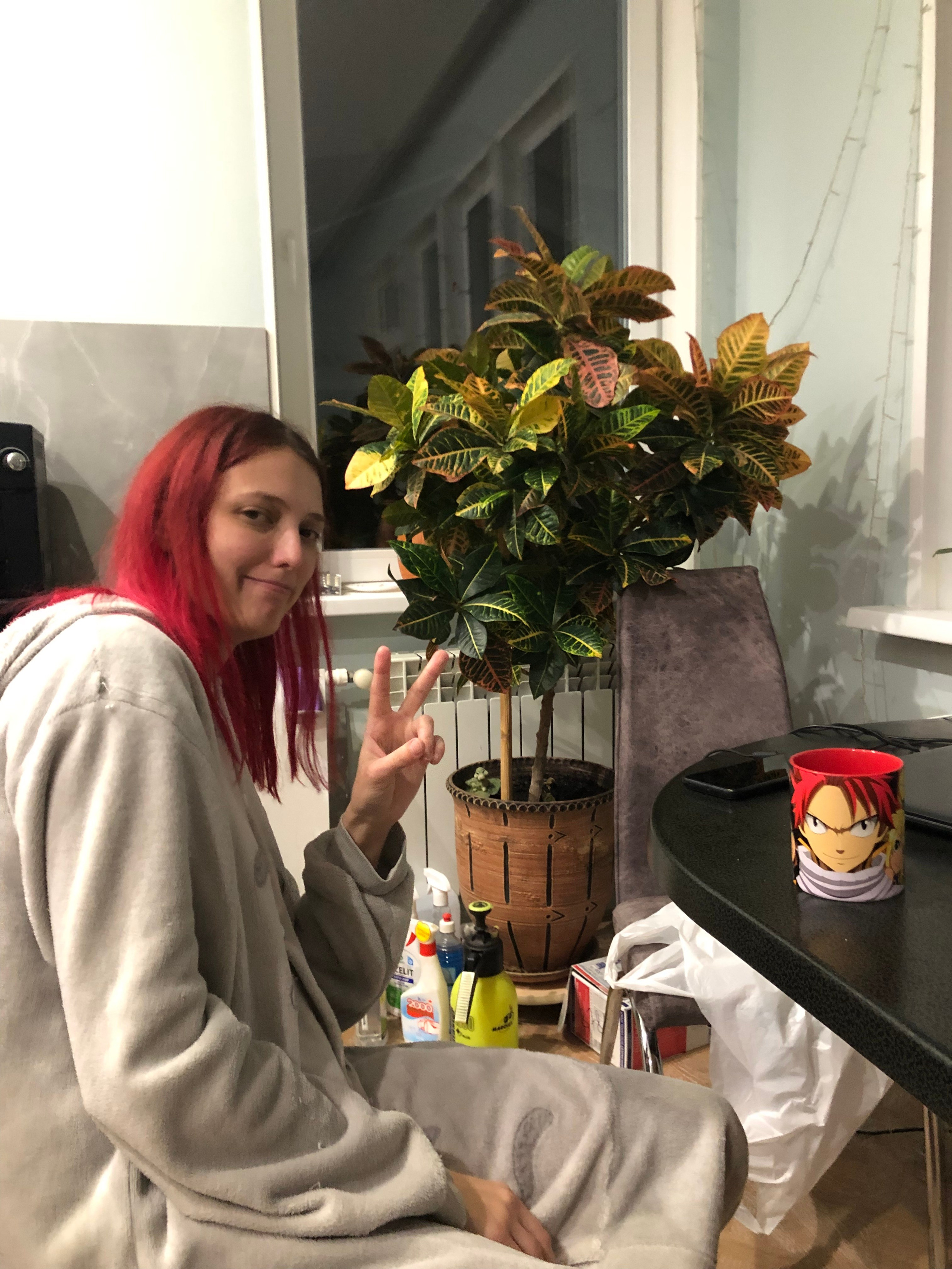 Ноябрь. Семейный, Свадебный фотограф СПБ Питер— Романова Екатерина